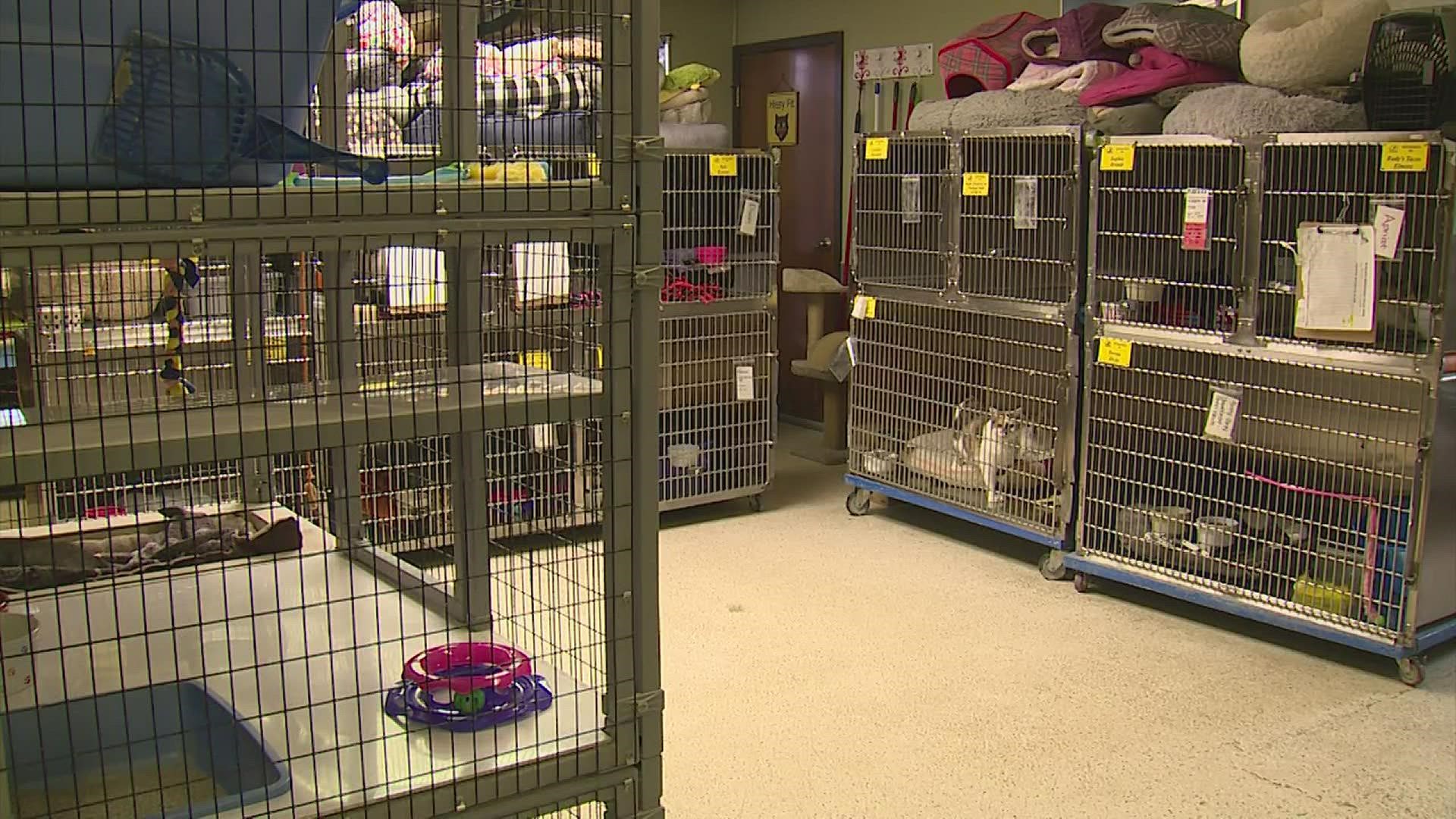 The shelter is cutting prices through Wednesday to make room for animals rescued from Hurricane Ida.