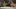 Plants and Garden Questions- Part 1 | April 26, 2023