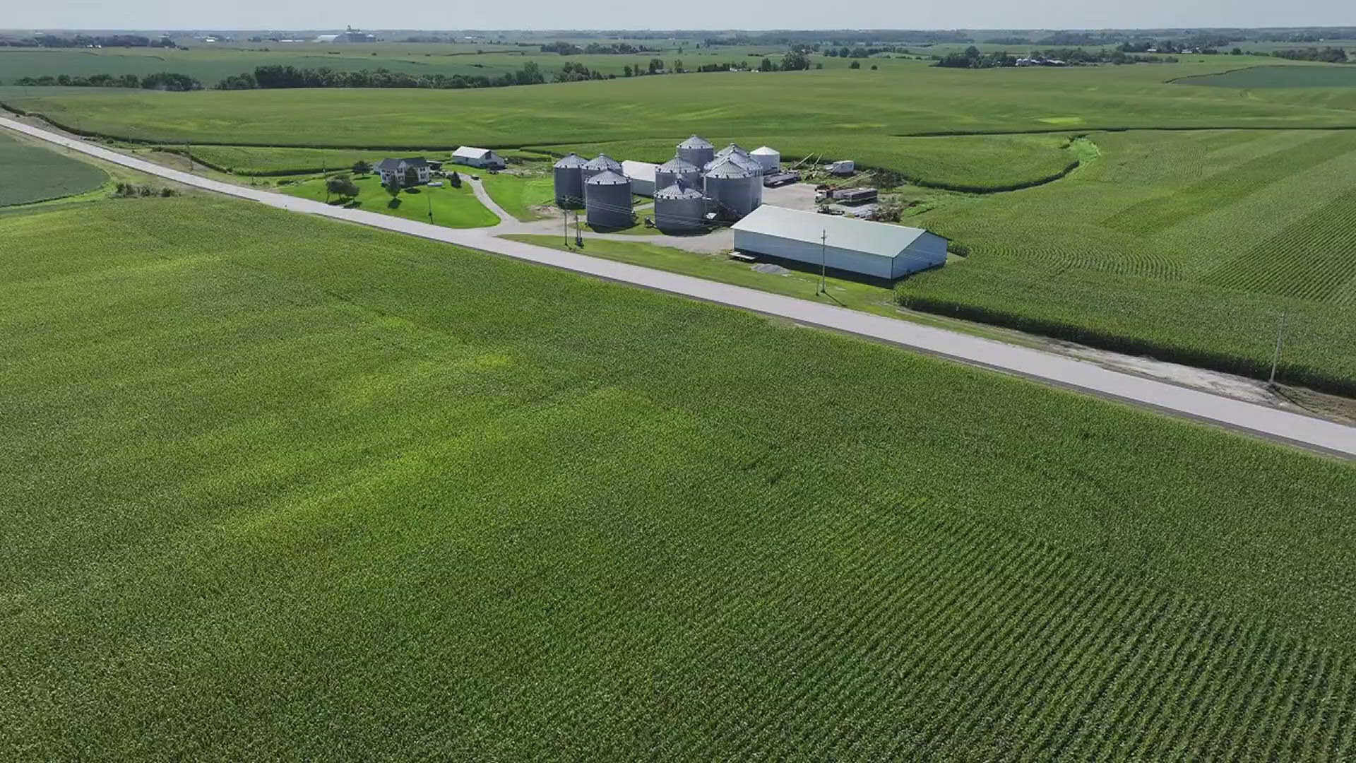 "This summer has been so cool and so much abundant moisture," said a Taylor Ridge farmer. "You couldn't write a better script for raising corn than this summer."