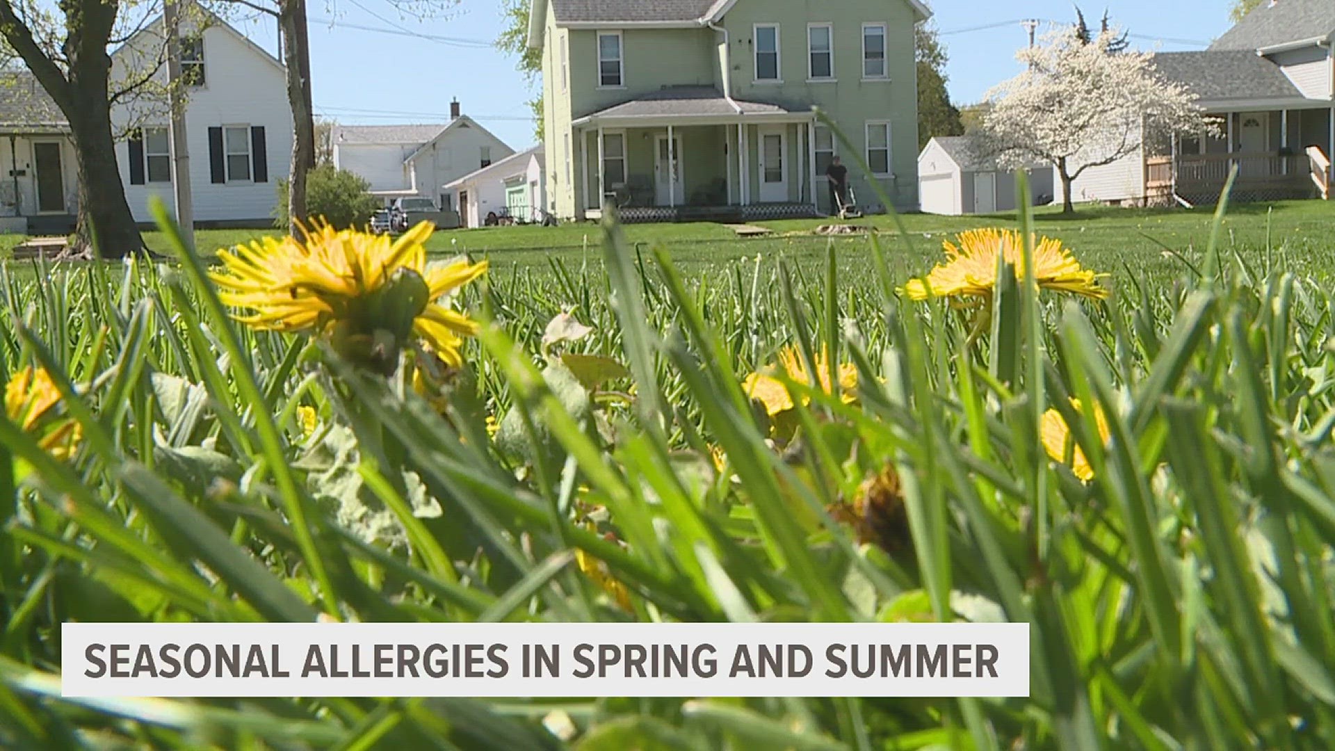Doctors say tree and grass pollen are the biggest cause of seasonal allergies in the spring and summer.