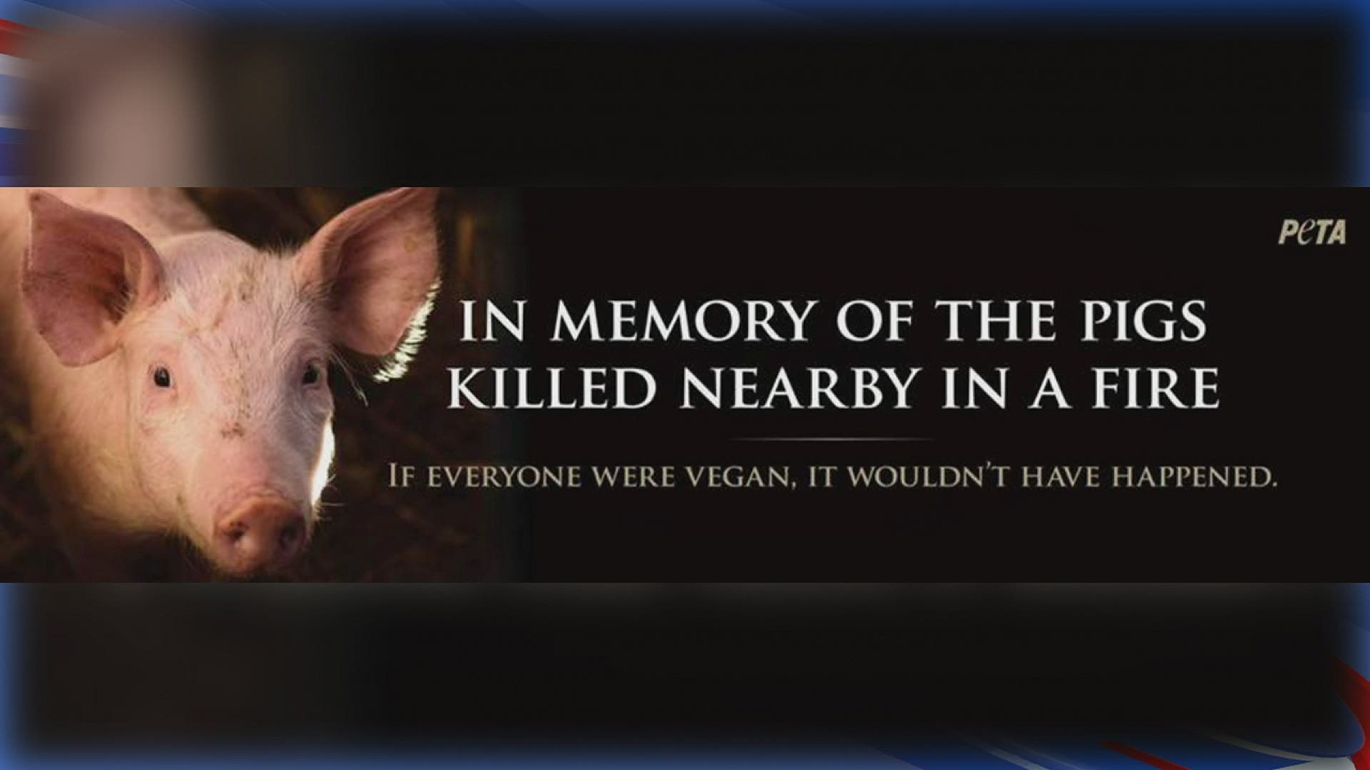 Billboards being placed in the area are encouraging people to go vegan.