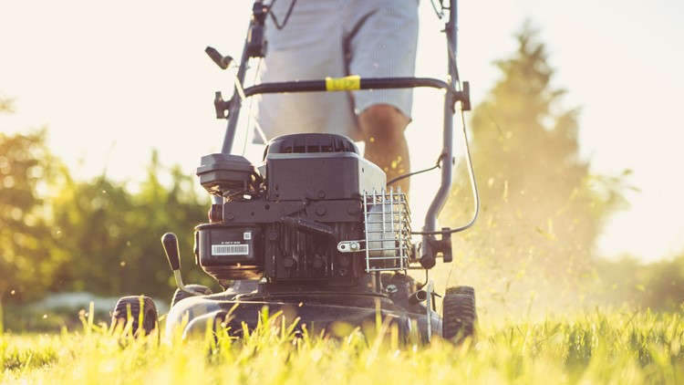 Why you should avoid 'No Mow May'