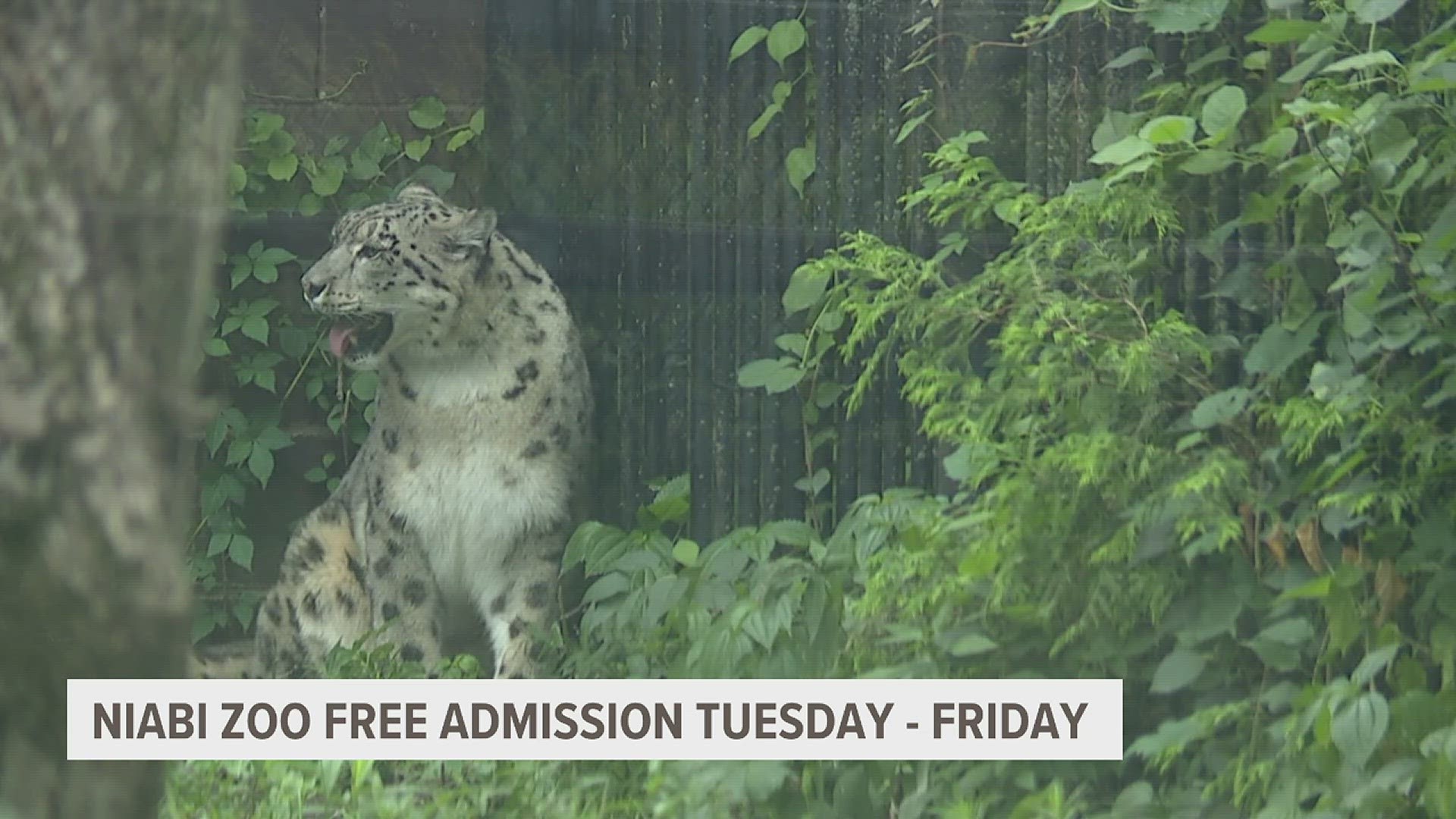 The zoo will be closed on Mondays for the fall and winter seasons.