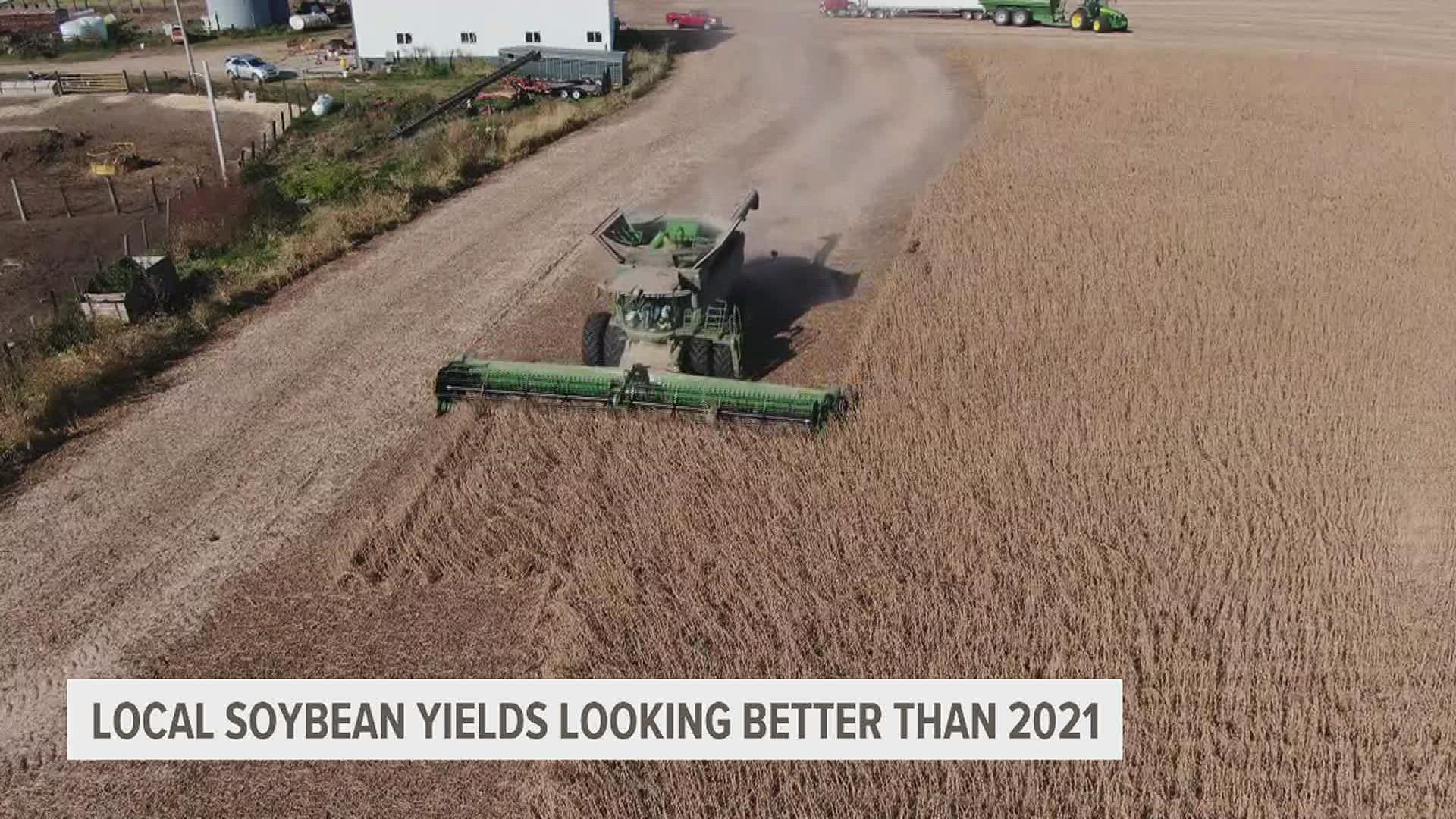 Around the QCA, dry conditions are creating an ideal harvest for soybean farmers. For some, this year's yields could be 10% greater than in 2021.