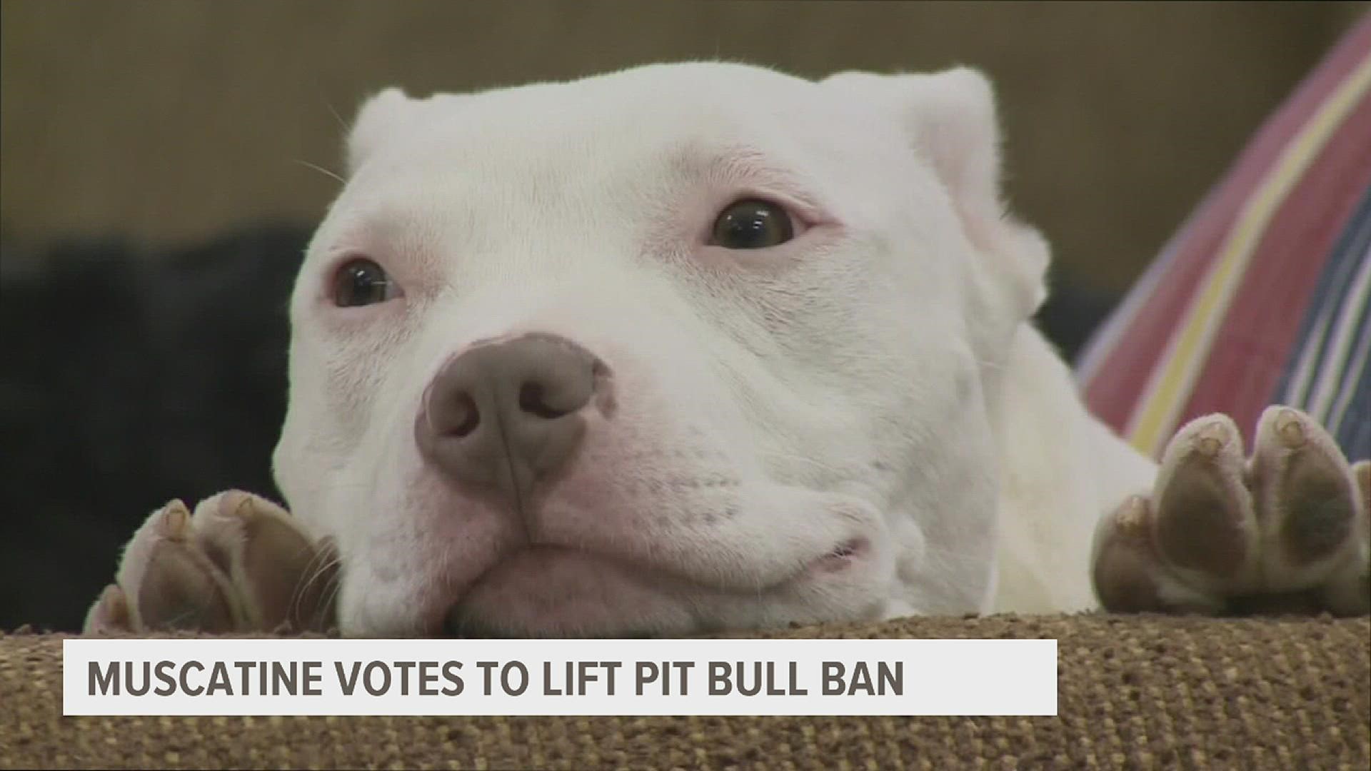 City council passed a 5-2 vote Thursday making it legal to own a pit bull in Muscatine.