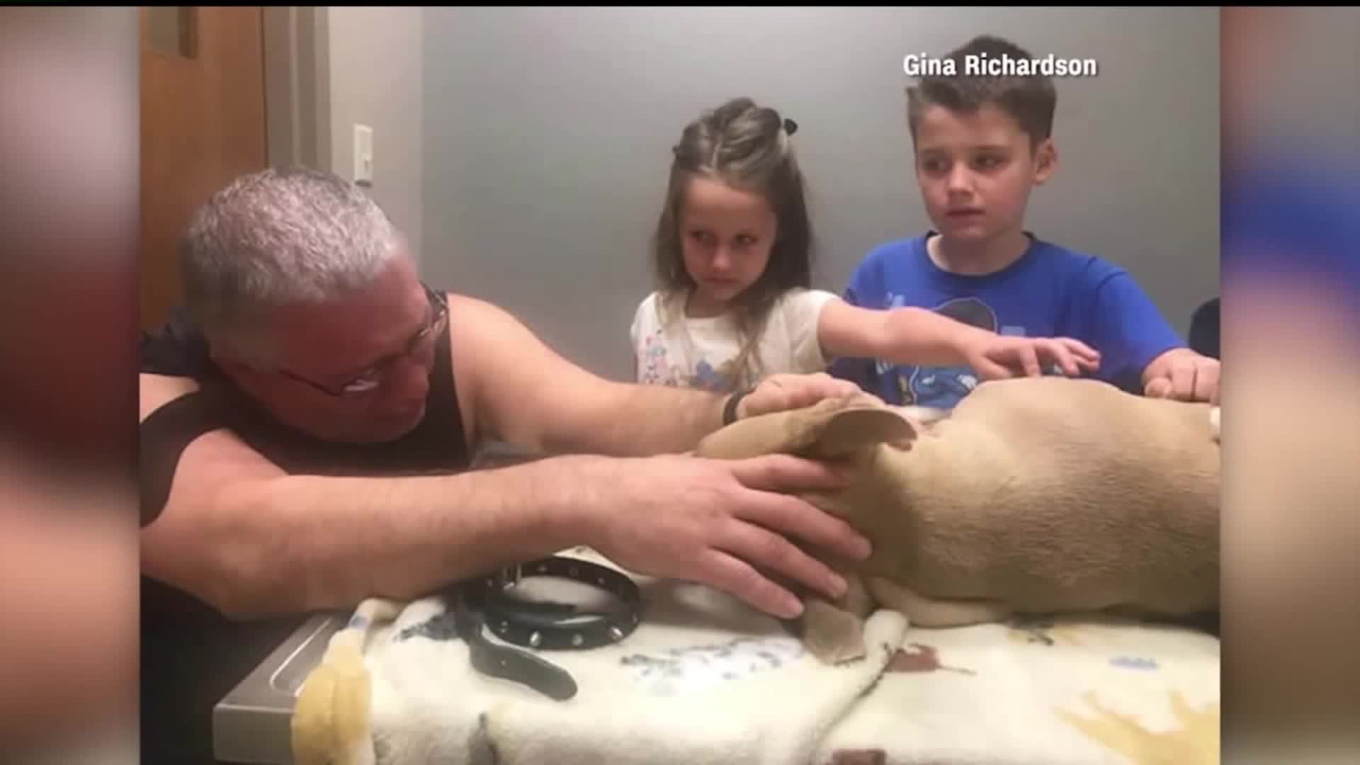 Florida family mourning the loss of their pitbull