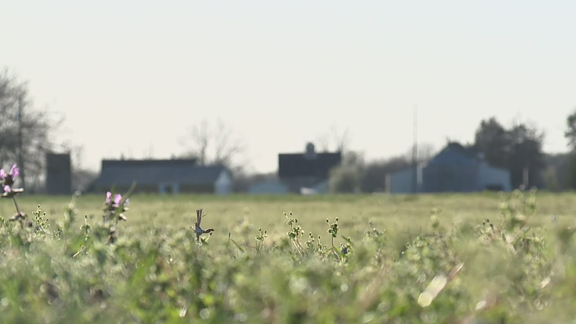 One person was killed in a Davenport crash, and another person was injured in a Kewanee accident. Moline is also moving forward with the solar farm proposal.