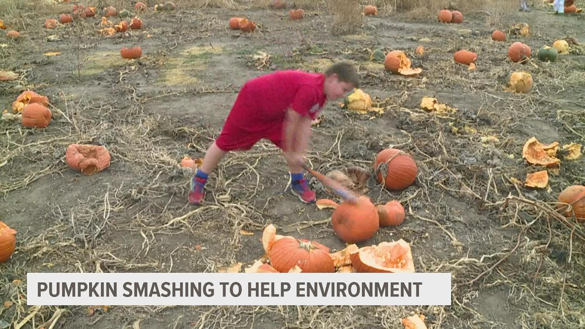 Smashing pumpkins to help the environment