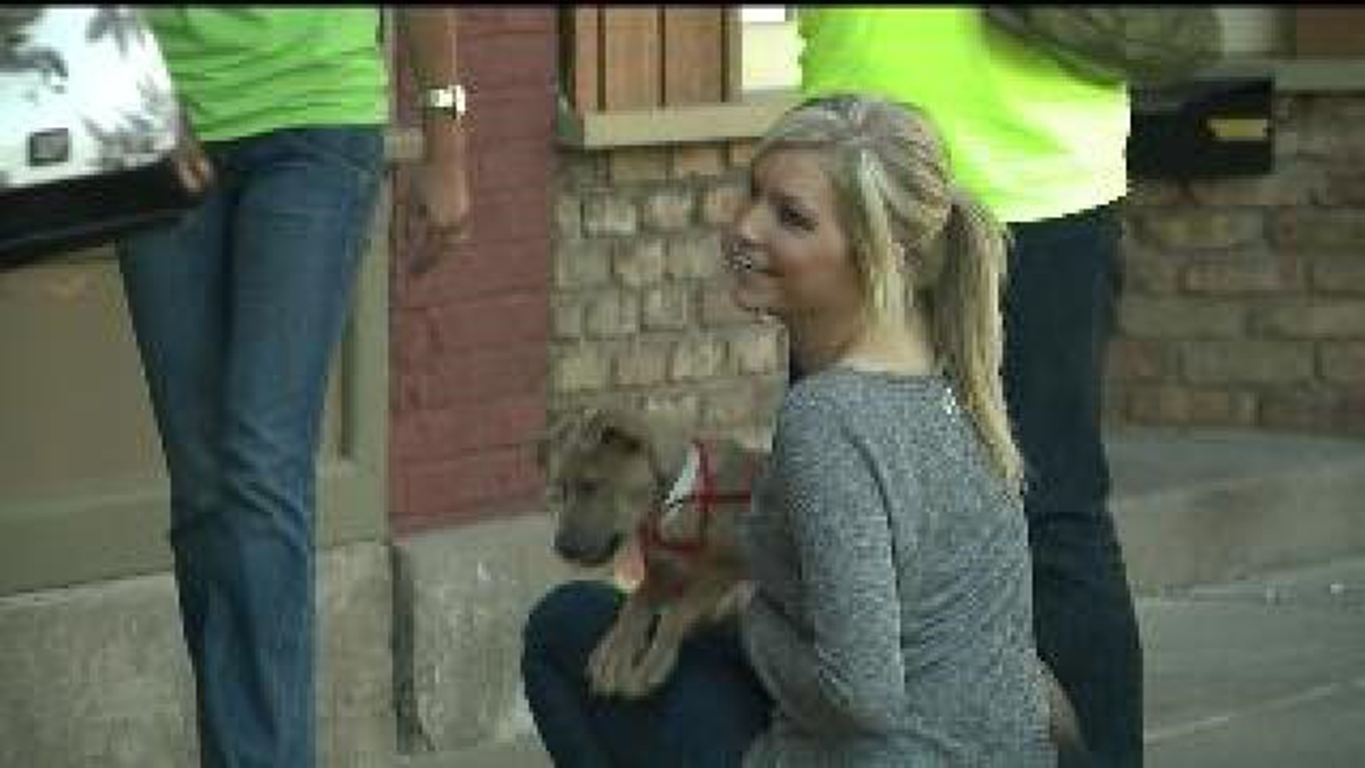 Animal shelter holds bar crawl to raise adoption awareness
