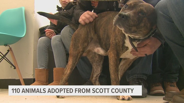 Over 80 animals adopted from Humane Society of Scott County last weekend