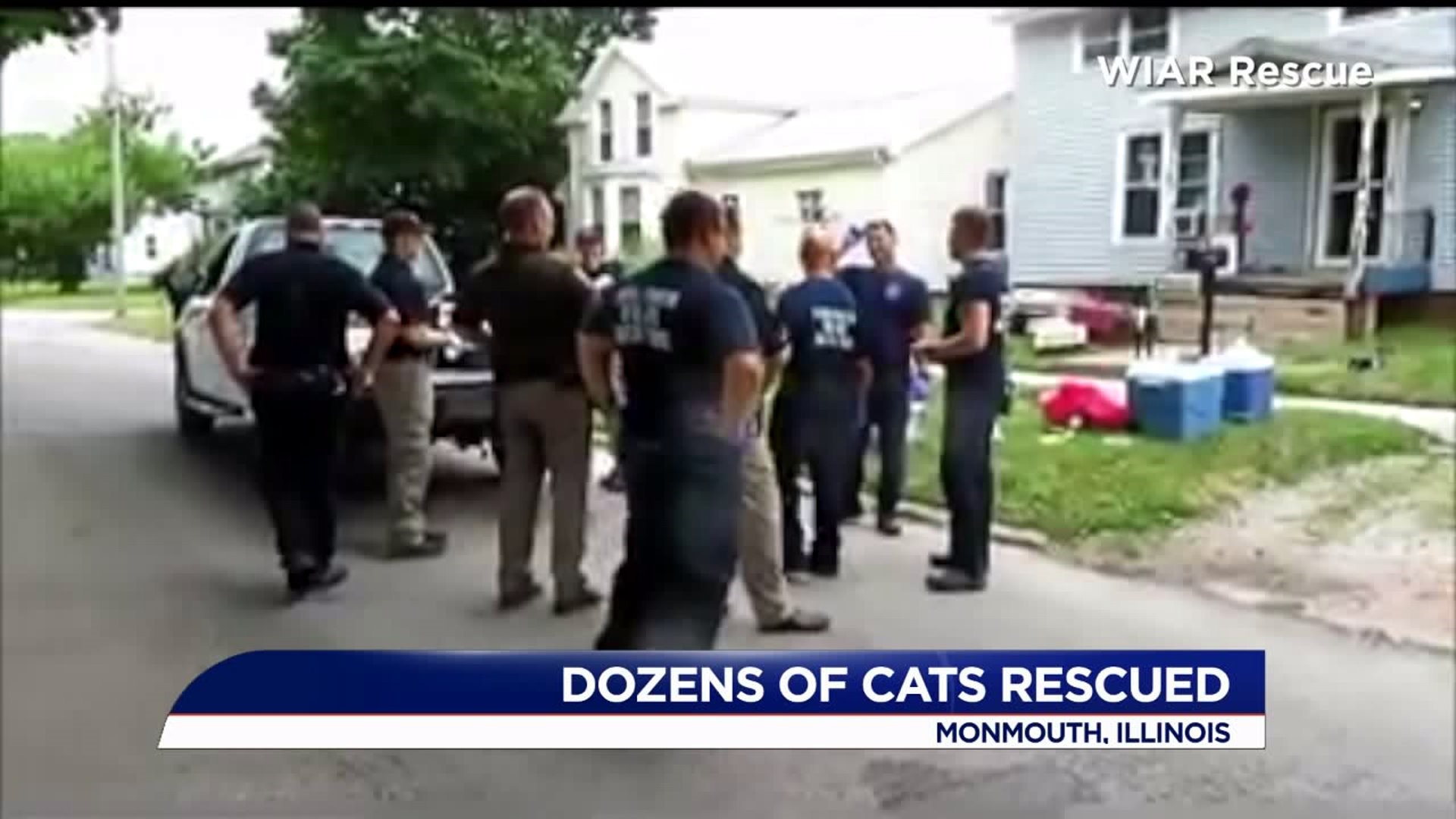 Dozens of cats rescued fom Monmouth home