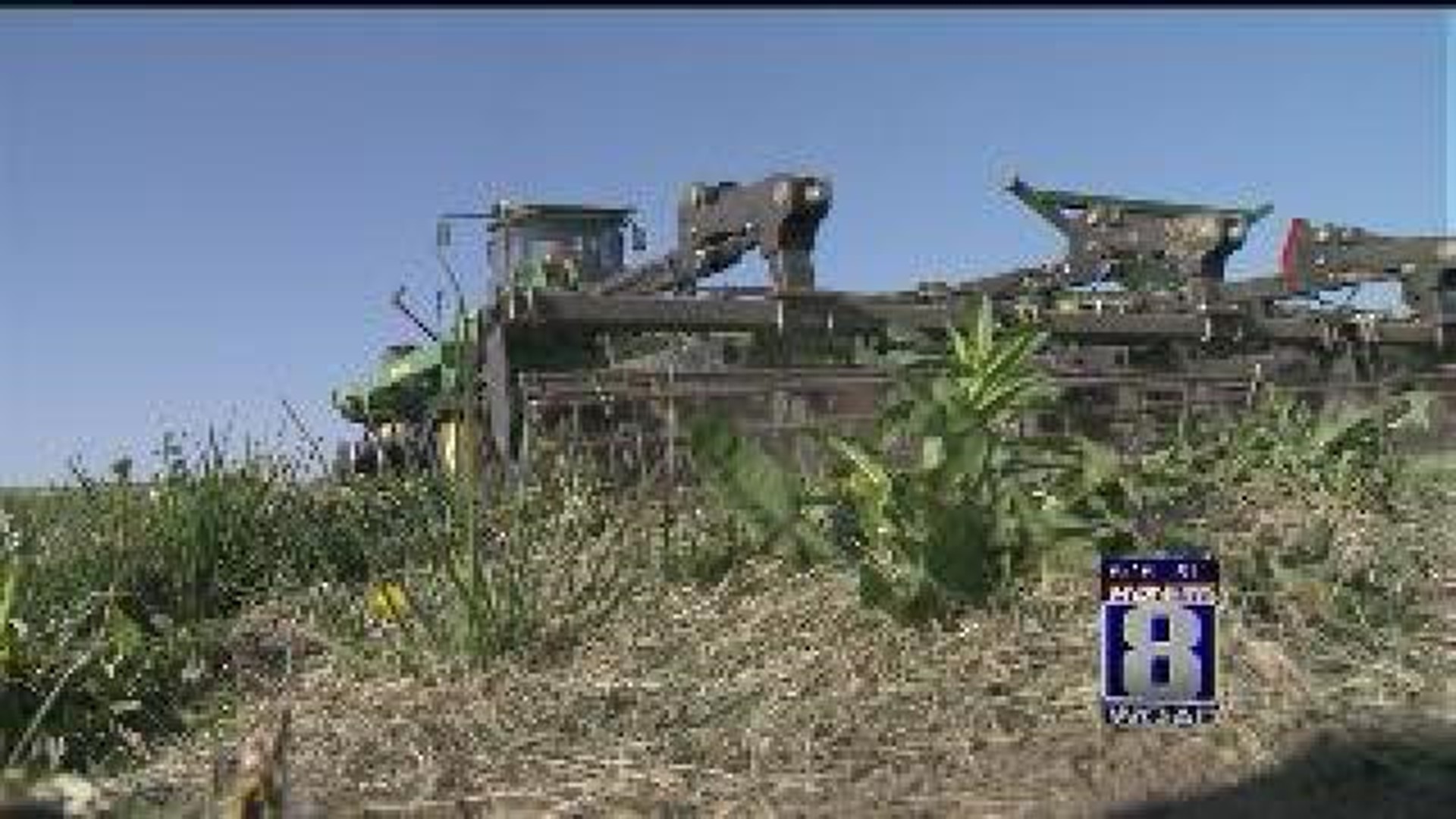 Ag in the AM: Iowa's Slow Corn Start