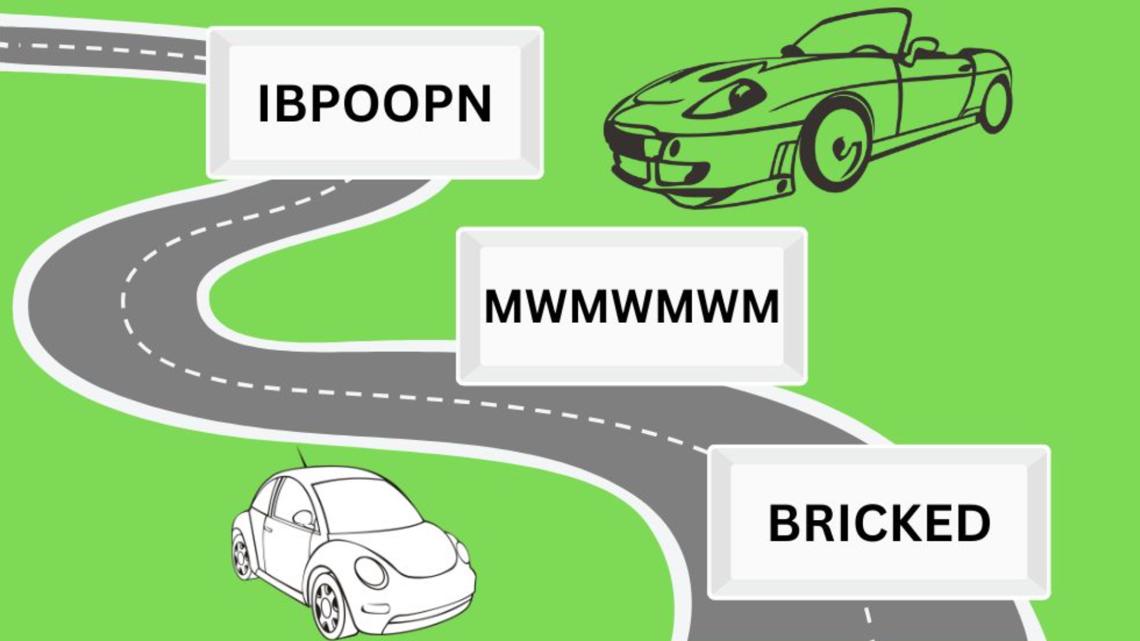 Illinois releases list of rejected vanity license plates for 2025