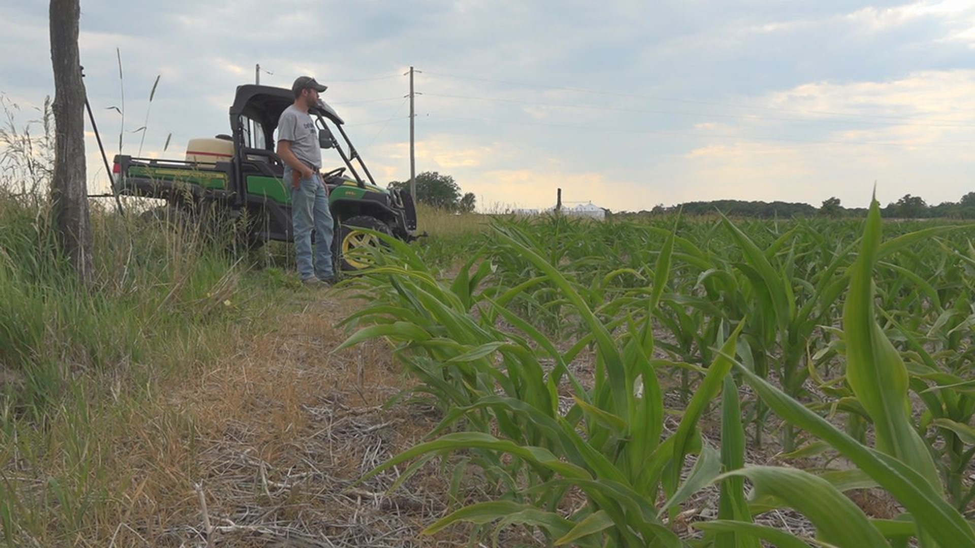 Early drought could hurt crop yields for Iowa, Illinois farmers | wqad.com