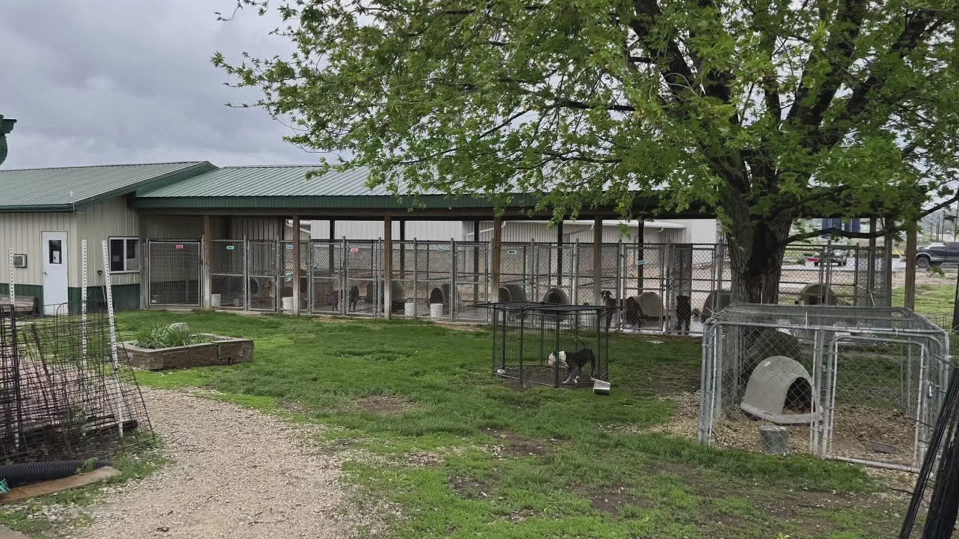 PAW Animal Shelter in Fort Madison, Iowa, was recently gifted a $750,000 matching challenge for a new shelter and is asking for the public's help in matching funds.