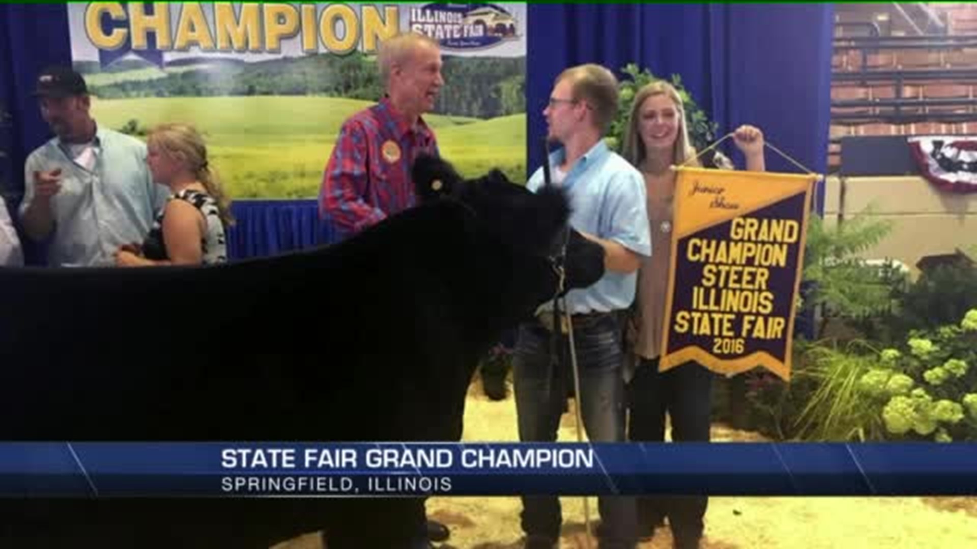 Steer sale sets record at Illinois State Fair