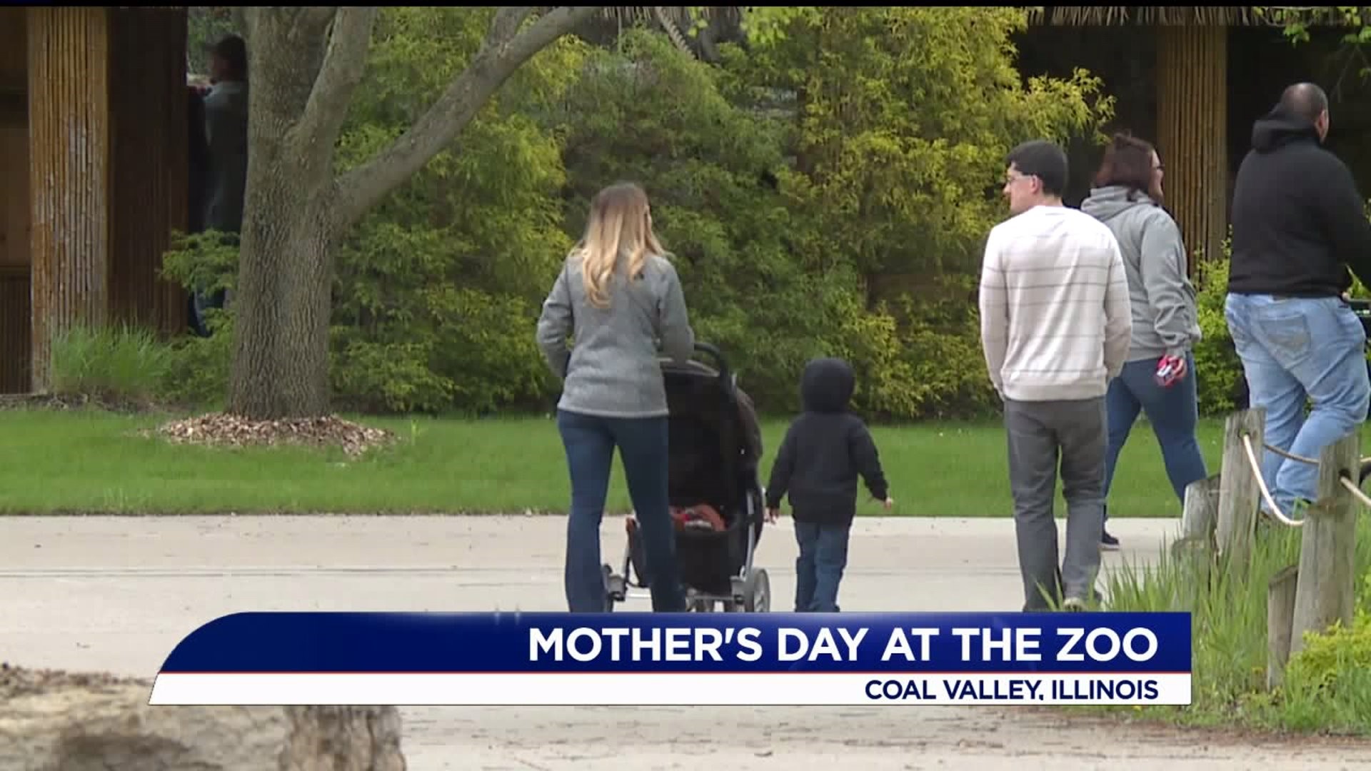 Mother`s Day at the Niabi Zoo
