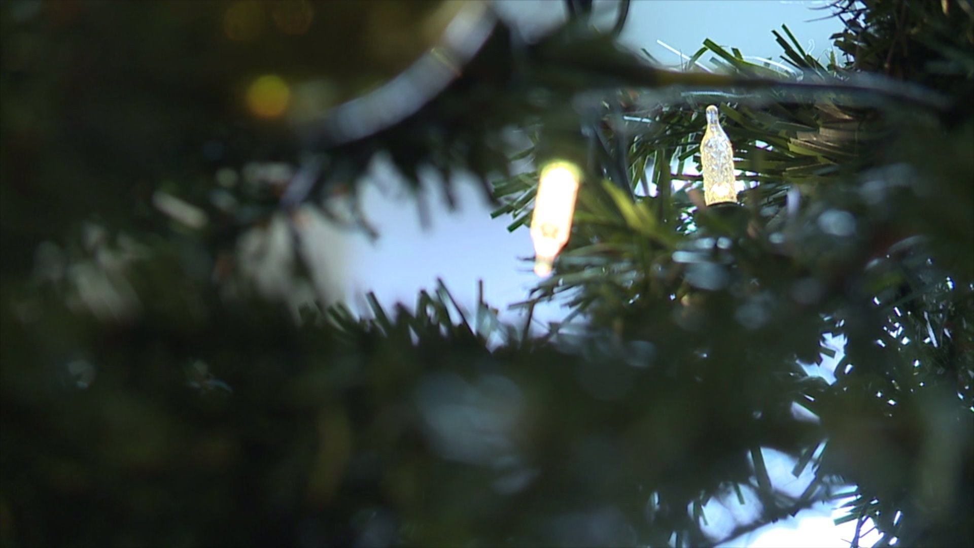 What to do with your old, broken Christmas lights