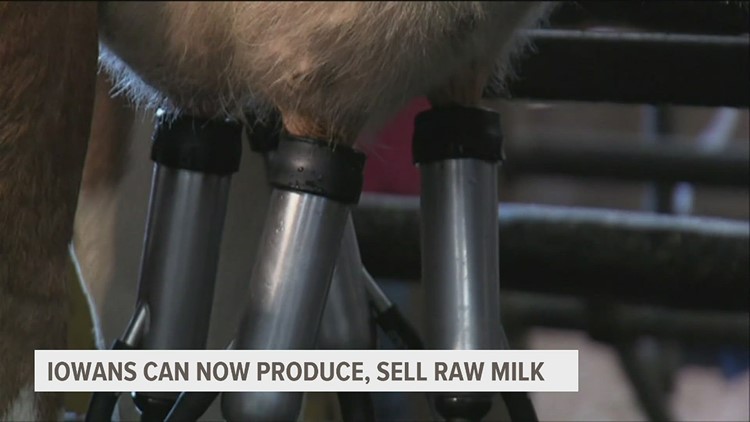 Raw milk can now be sold in Iowa; Muscatine works to improve levee | News 8 Now