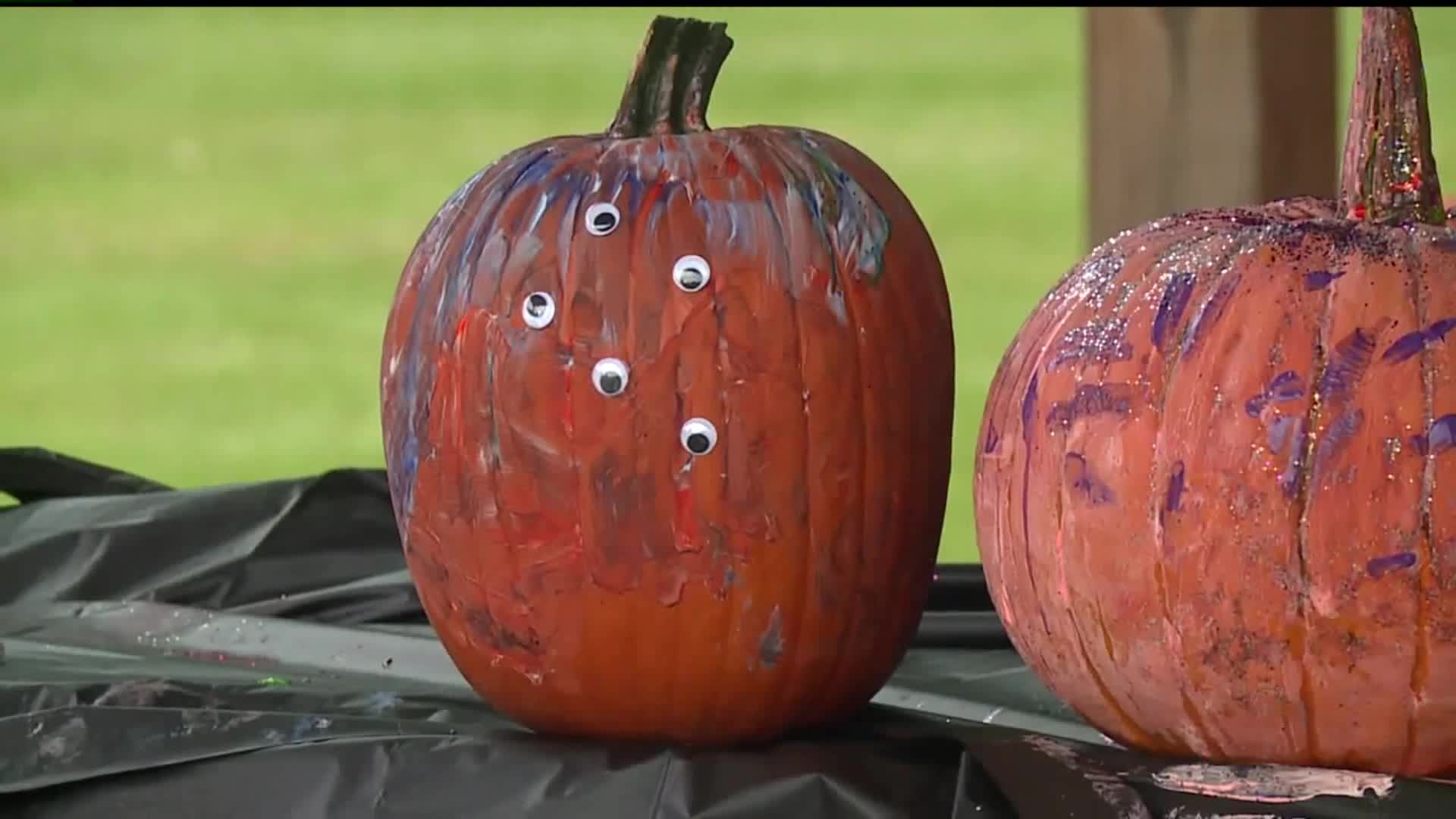 Pumpkins painted to help raise funds for Ann's Helping Hands