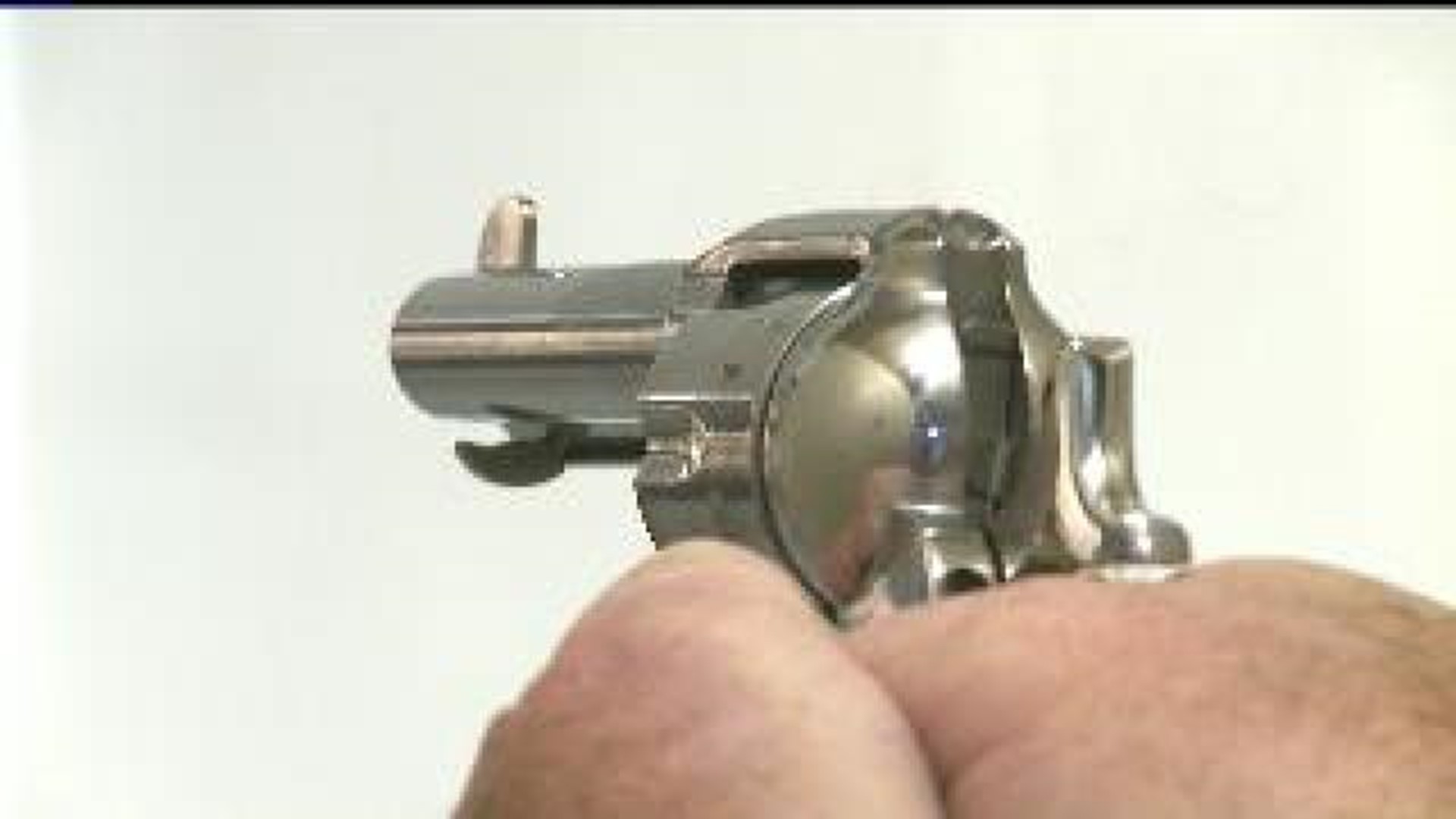 Concealed Carry Laws Clarified
