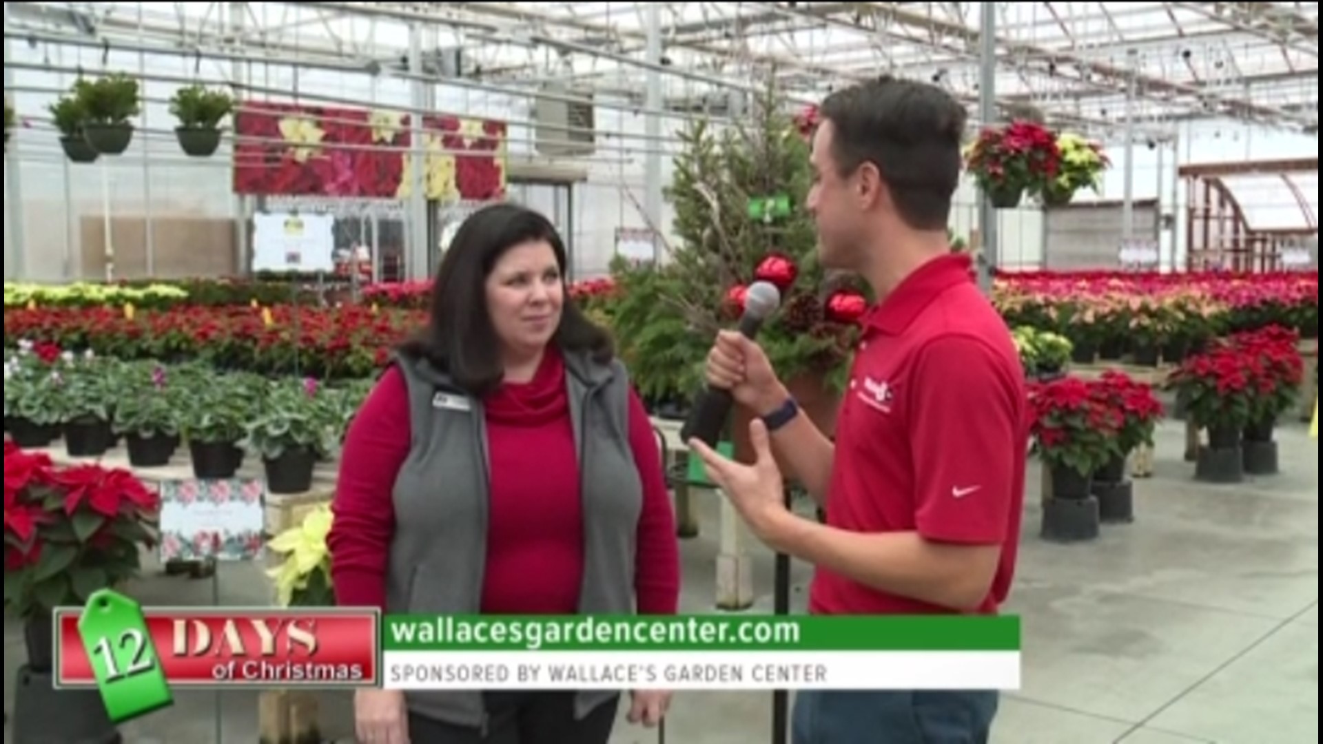 Enter to win a $150 gift card, porch pot, and annual glass ornament from Wallace's Garden Center by noon on 12/1!