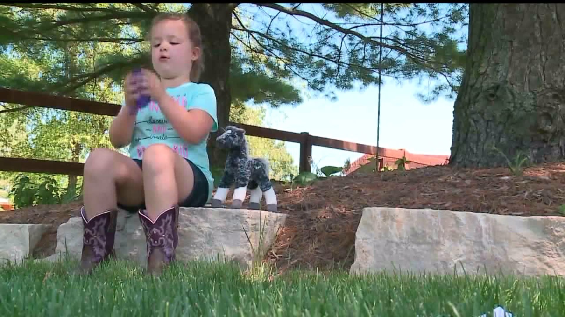 Little girl raises money to help rebuild stable after fire