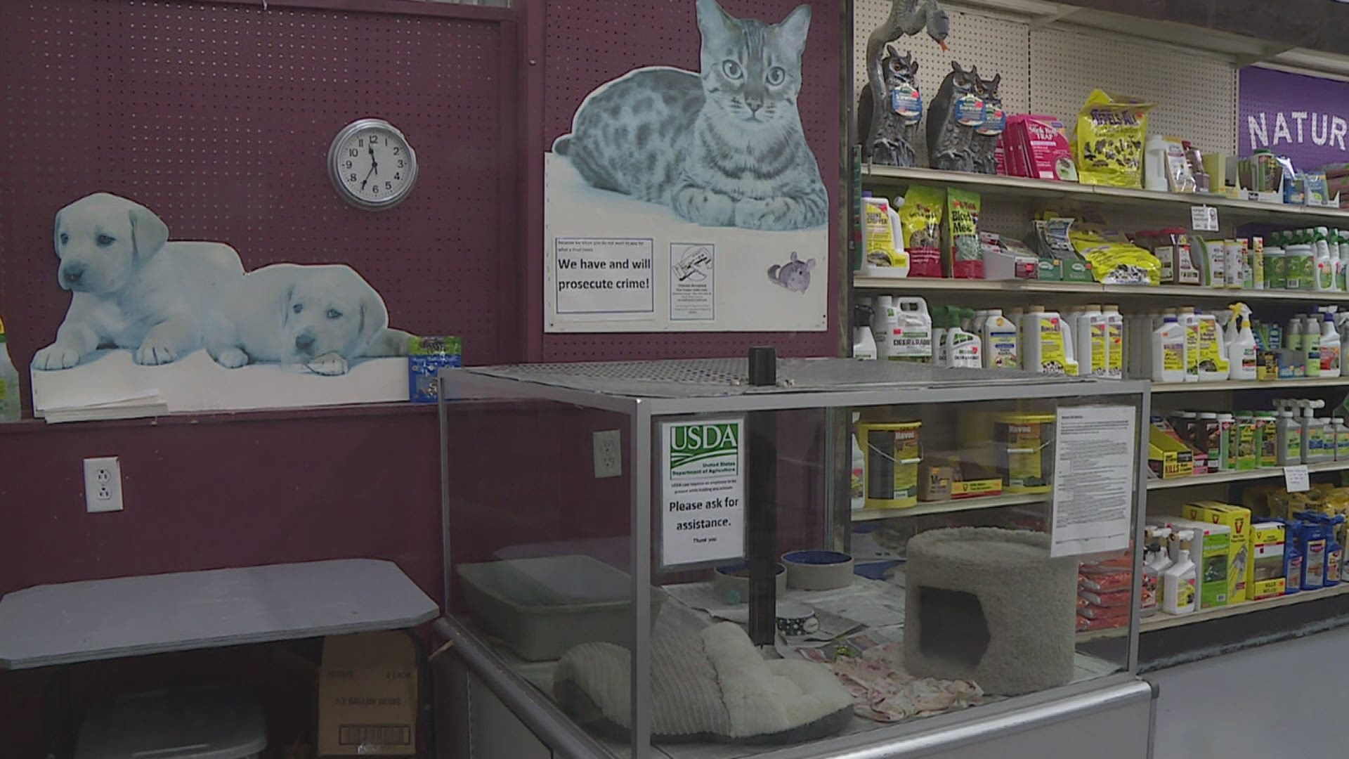 The bill is meant to stop inhumane treatment of animals, but one pet store says it may hinder customers right to choose.