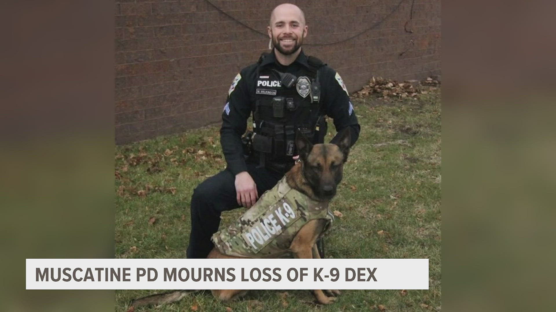 Dex started working for the Muscatine Police Department in March 2022 and was a model officer alongside Officer Matt Wilkinson.