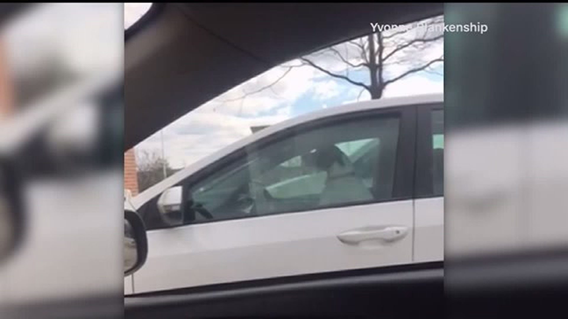 Impatient dog lays on the car horn