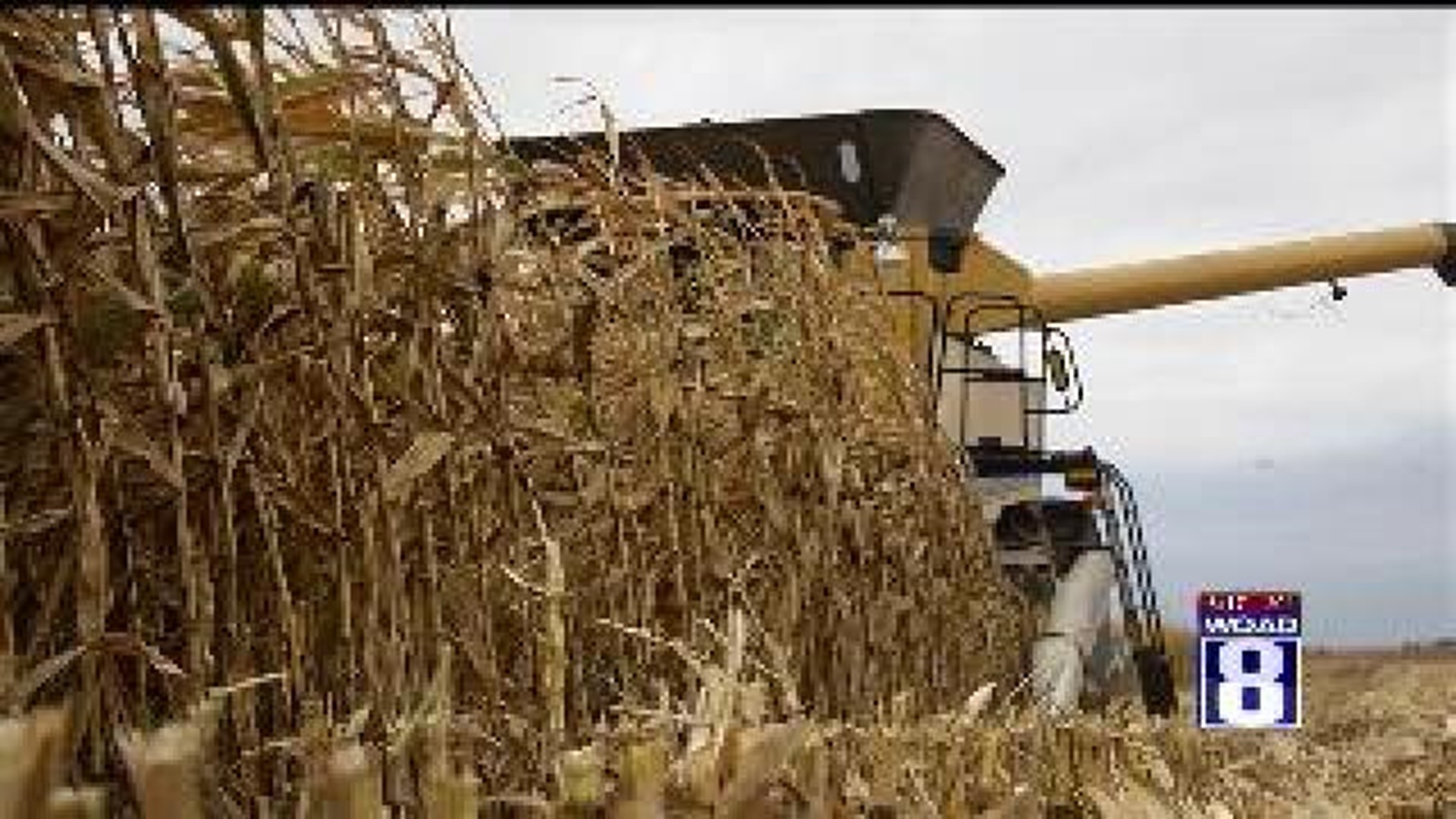 Ag in the AM: Illinois Corn Yields Higher