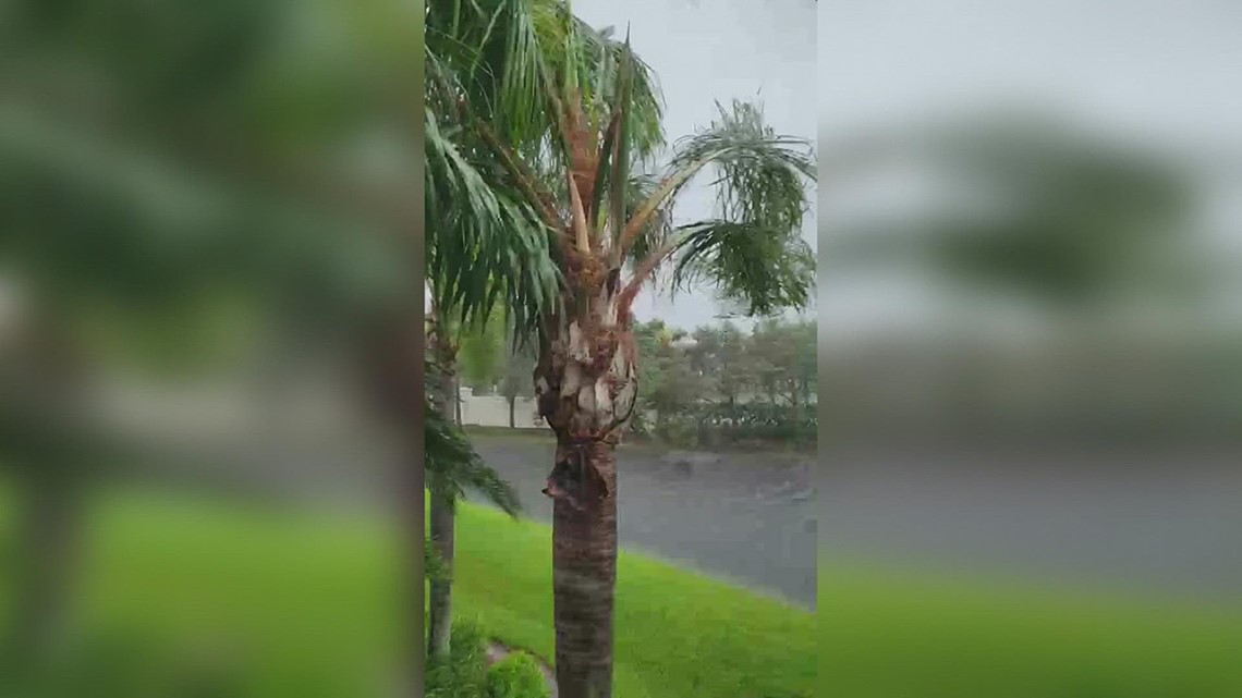 Video shows Hurricane Ian's intense winds near Fort Myer's