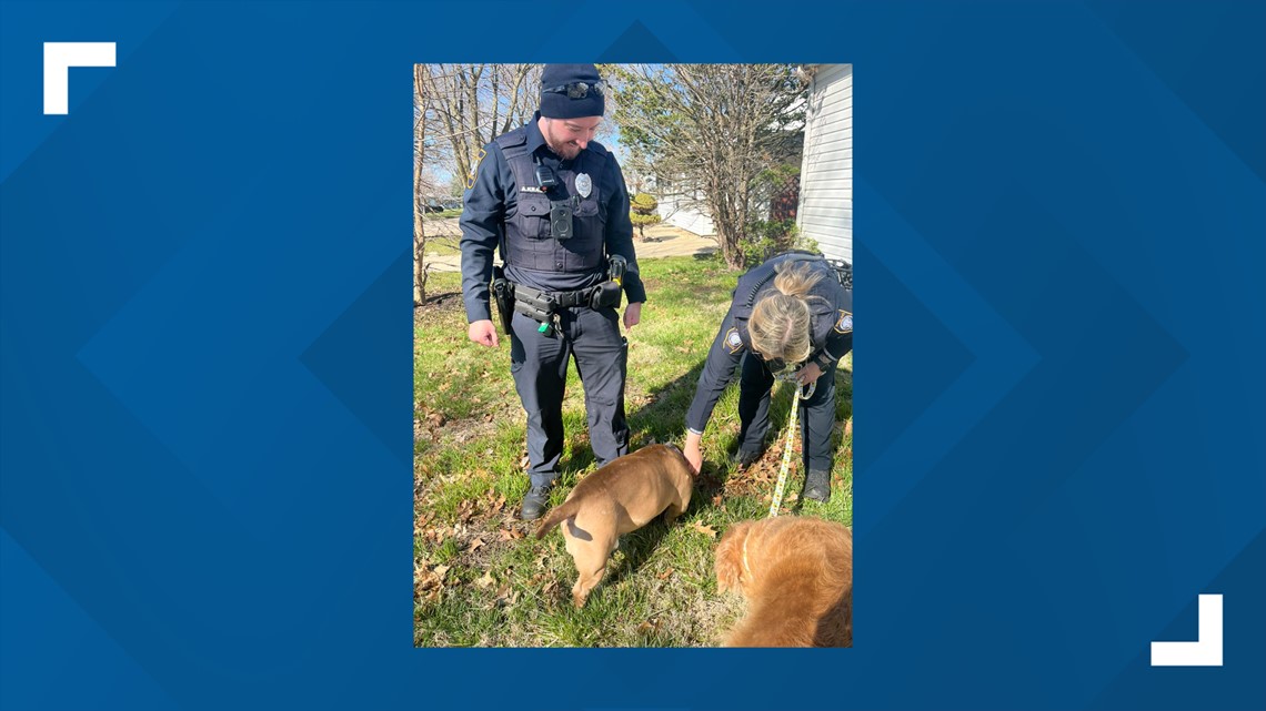 Sterling police officers reunite with dog rescued from fire - Vimarsana News