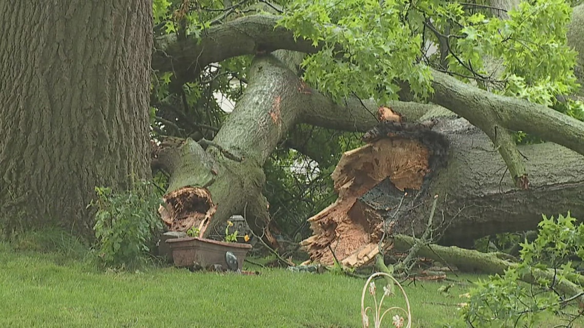 Severe weather hits Bettendorf, Iowa, and Carroll County | wqad.com