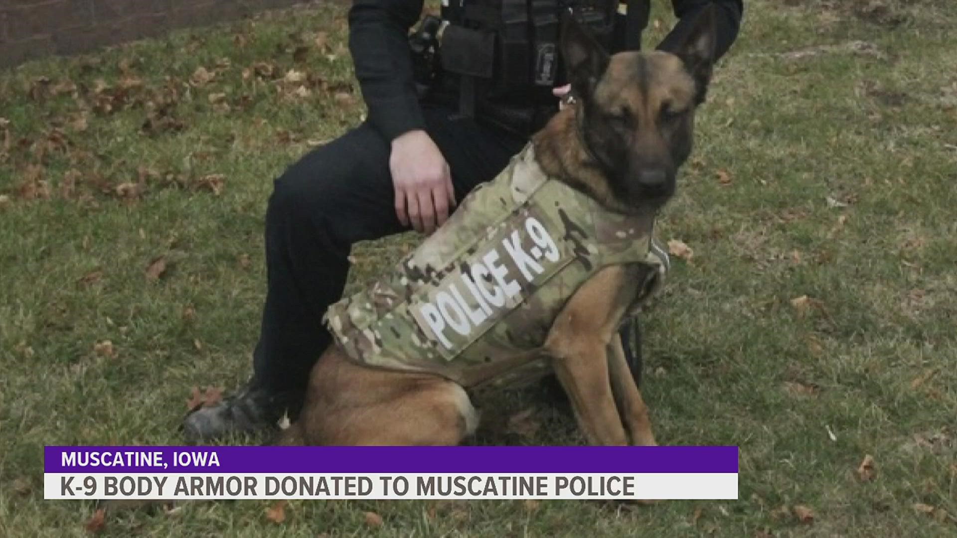 Police K9 Dexter is even better equipped to serve the citizens of Muscatine after receiving his bullet and stab protective vest.