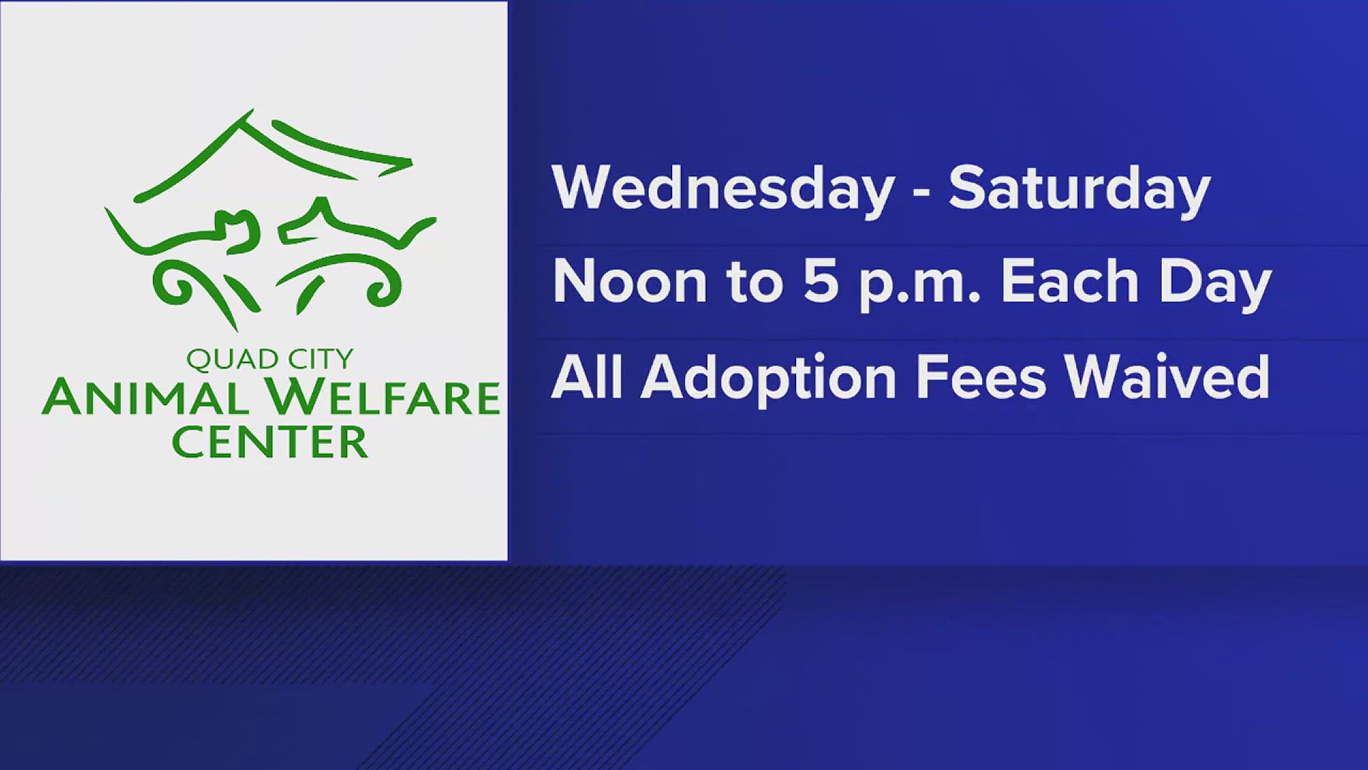 The center is waiving all adoption fees through Saturday.