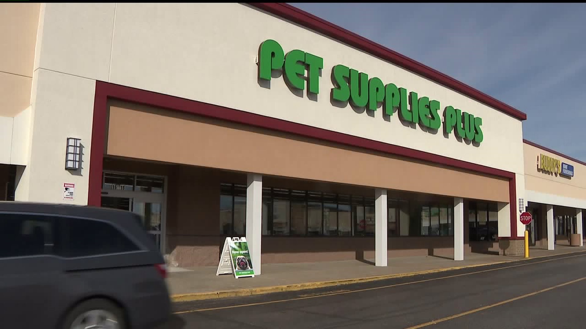 New pet store marks terriroty in QCA