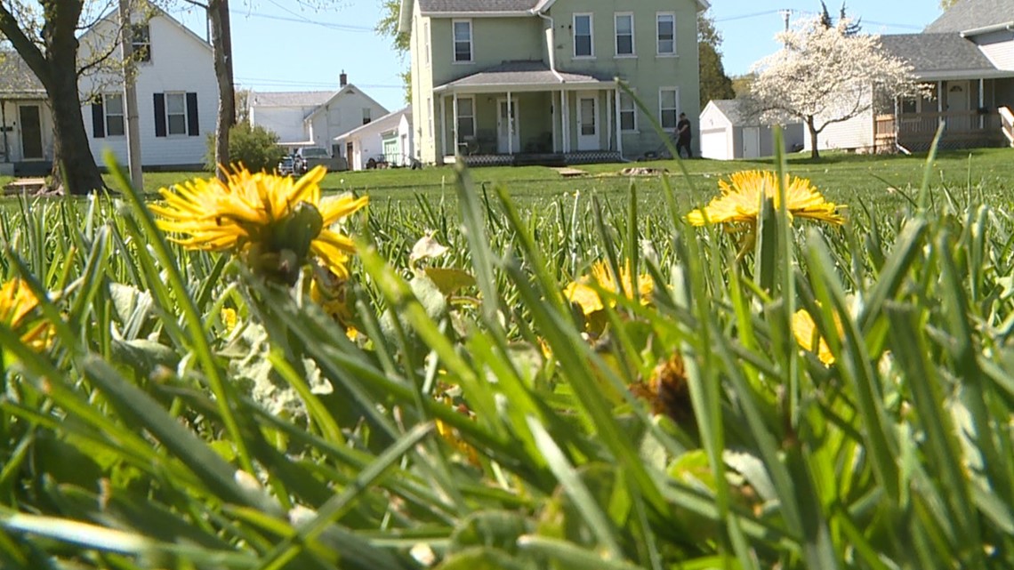 Allergies and early spring weather: Will they appear sooner? - Vimarsana News