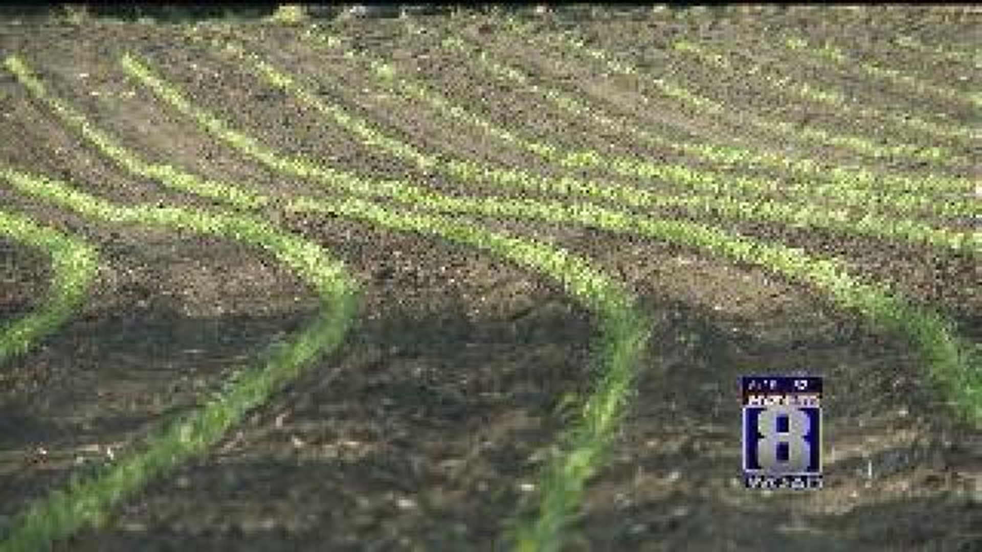 Ag in the AM: Corn Planting Progresses