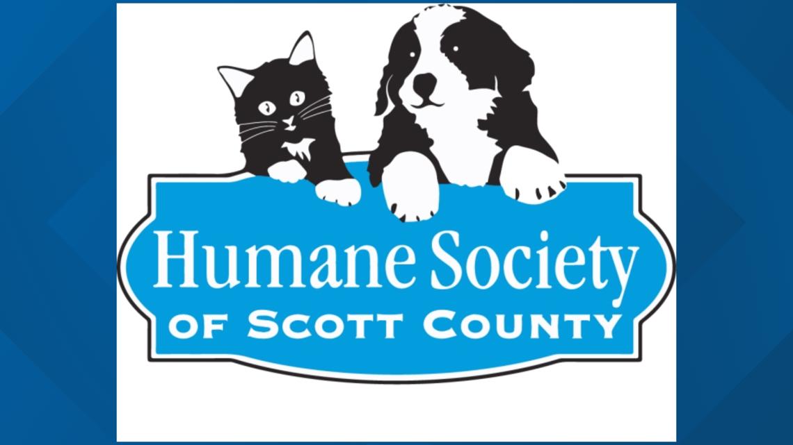 City of Davenport ends animal control agreement with Humane Society of Scott County