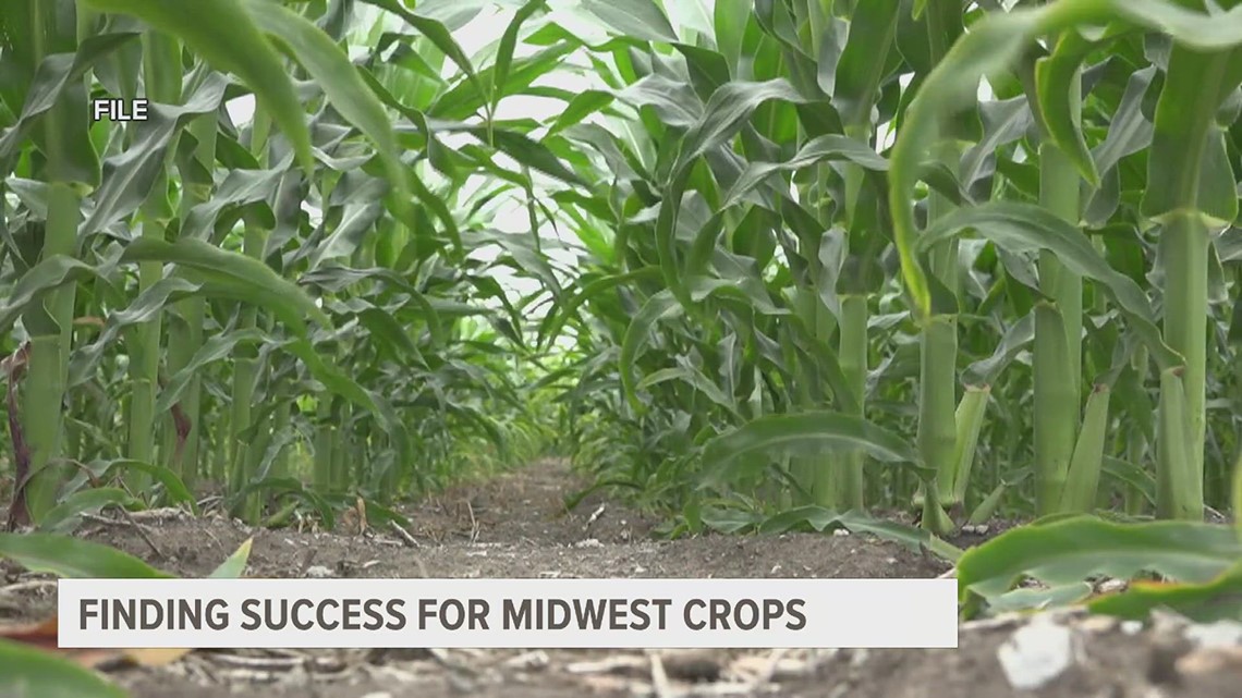 Midwest farmers see good harvests this year despite drought