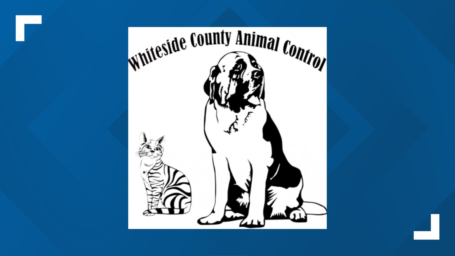 Whiteside County Animal Control director files defamation suit over ...