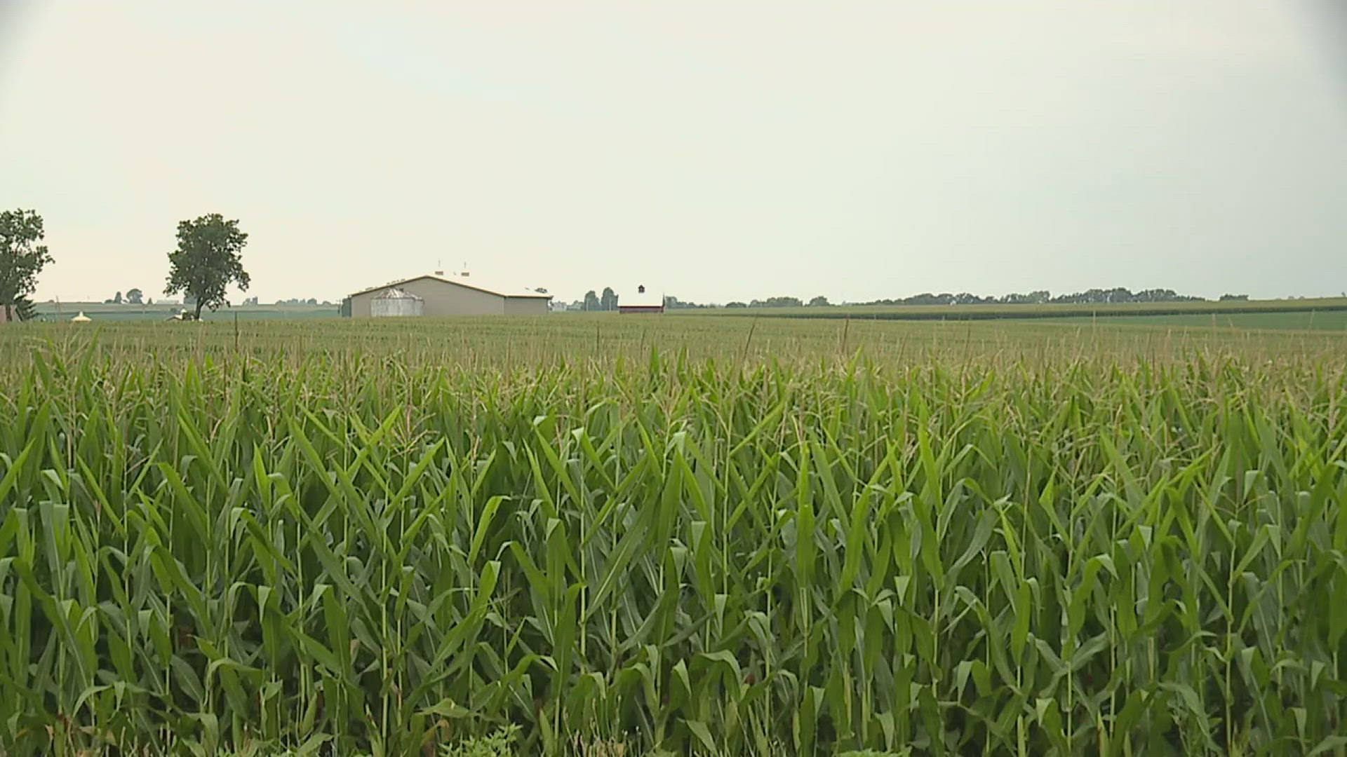 The proposal would allow a 68-acre solar farm to be built. Farmers in the area where the solar farm would be built are asking for more details on the plans.