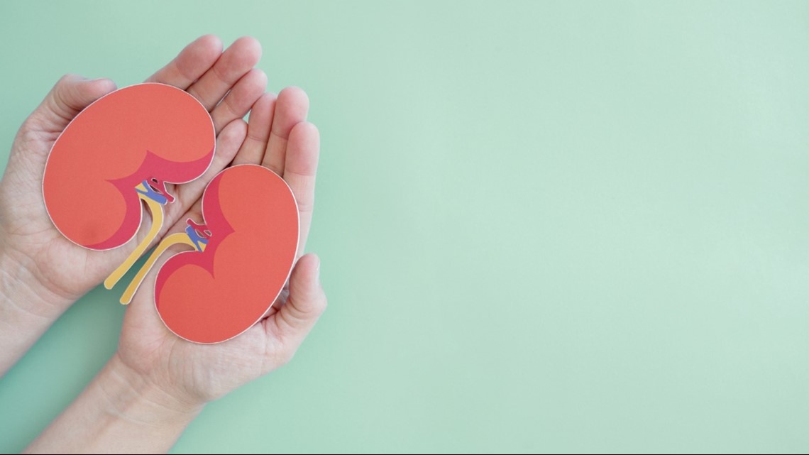 Organ donors would get guaranteed leave, insurance protections under Alabama House bill