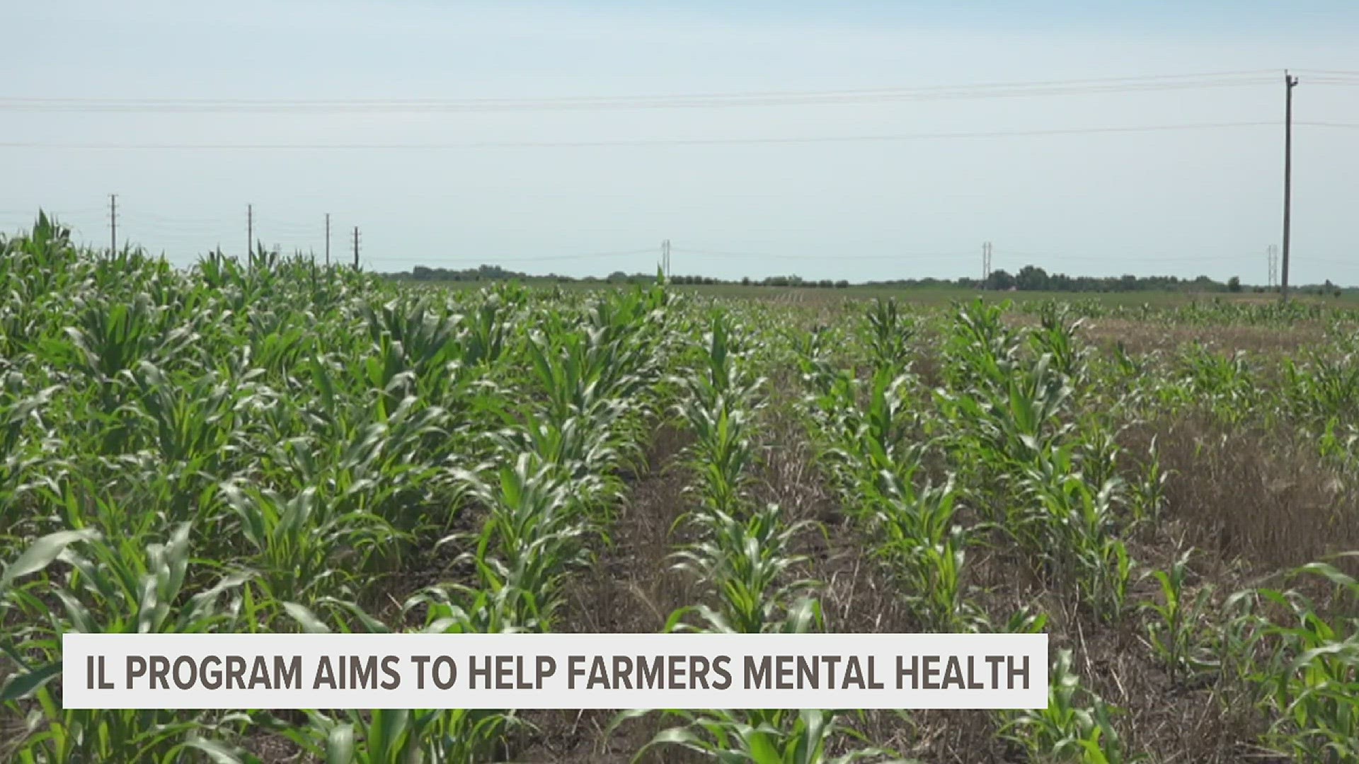 State leaders are hoping a new partnership with Future Farmers of America will help change the stigma around mental health in agriculture.