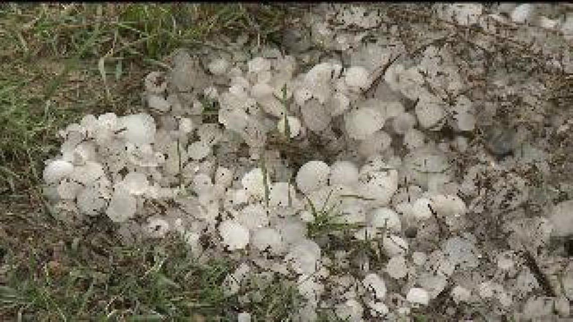 Wapello hail storm devastates small businesses