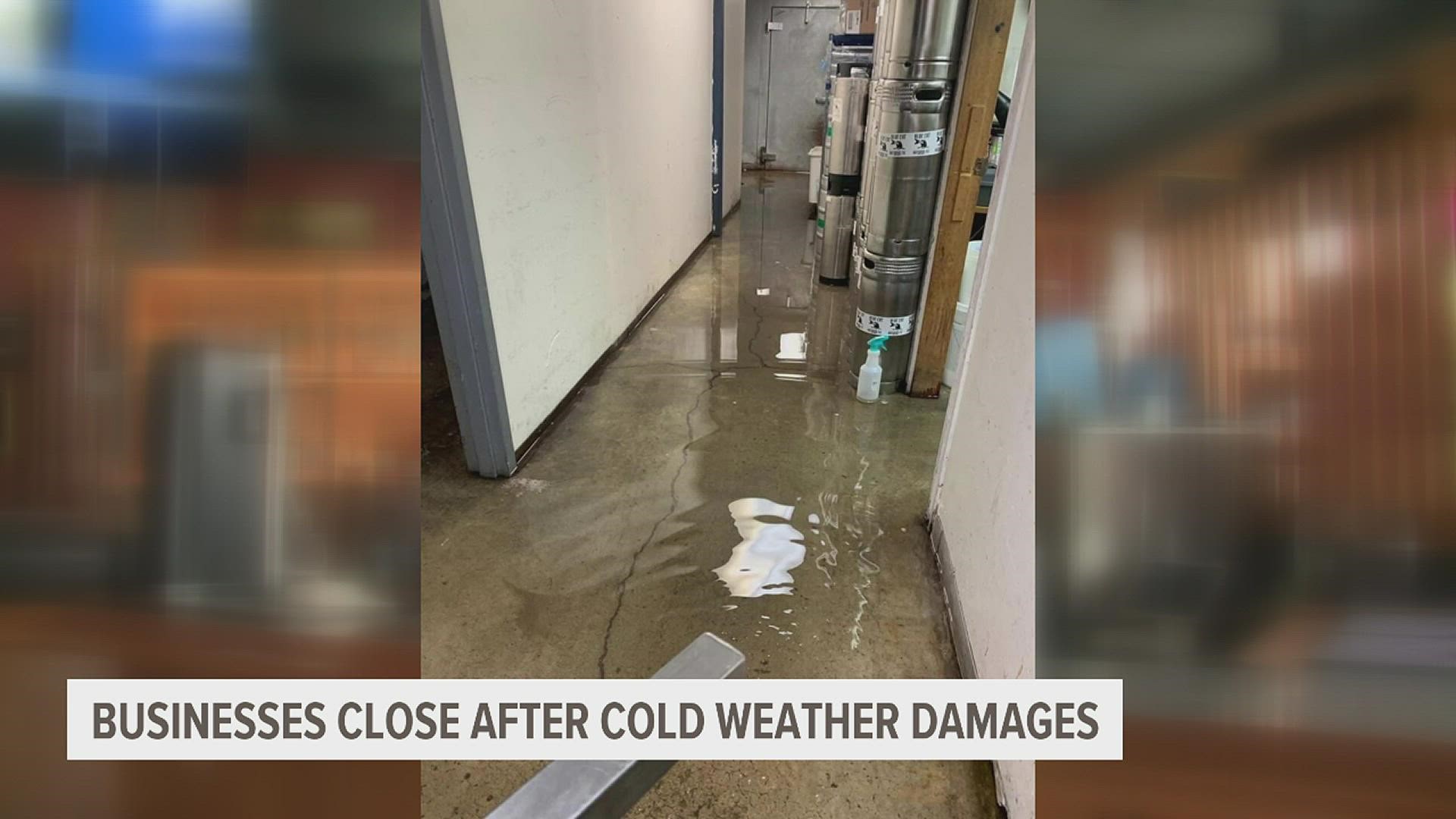 Bier Stube in Moline and Blue Cat Brewing Company in Rock Island are closing their doors after severe weather caused water damage from broken pipes.