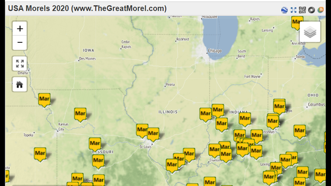 The Great Morel Hunt Mushroom explosion likely in the weeks ahead