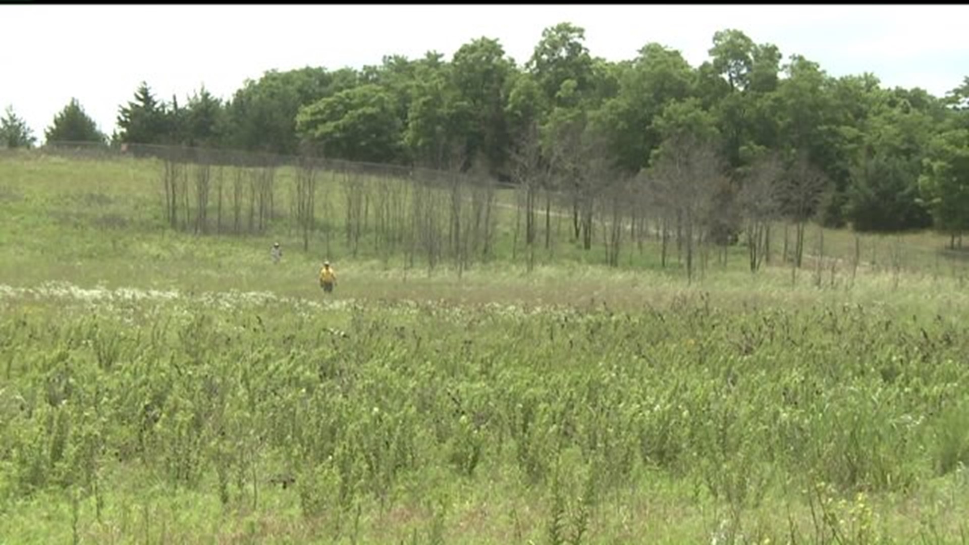 Unique Nature Preserve Opens