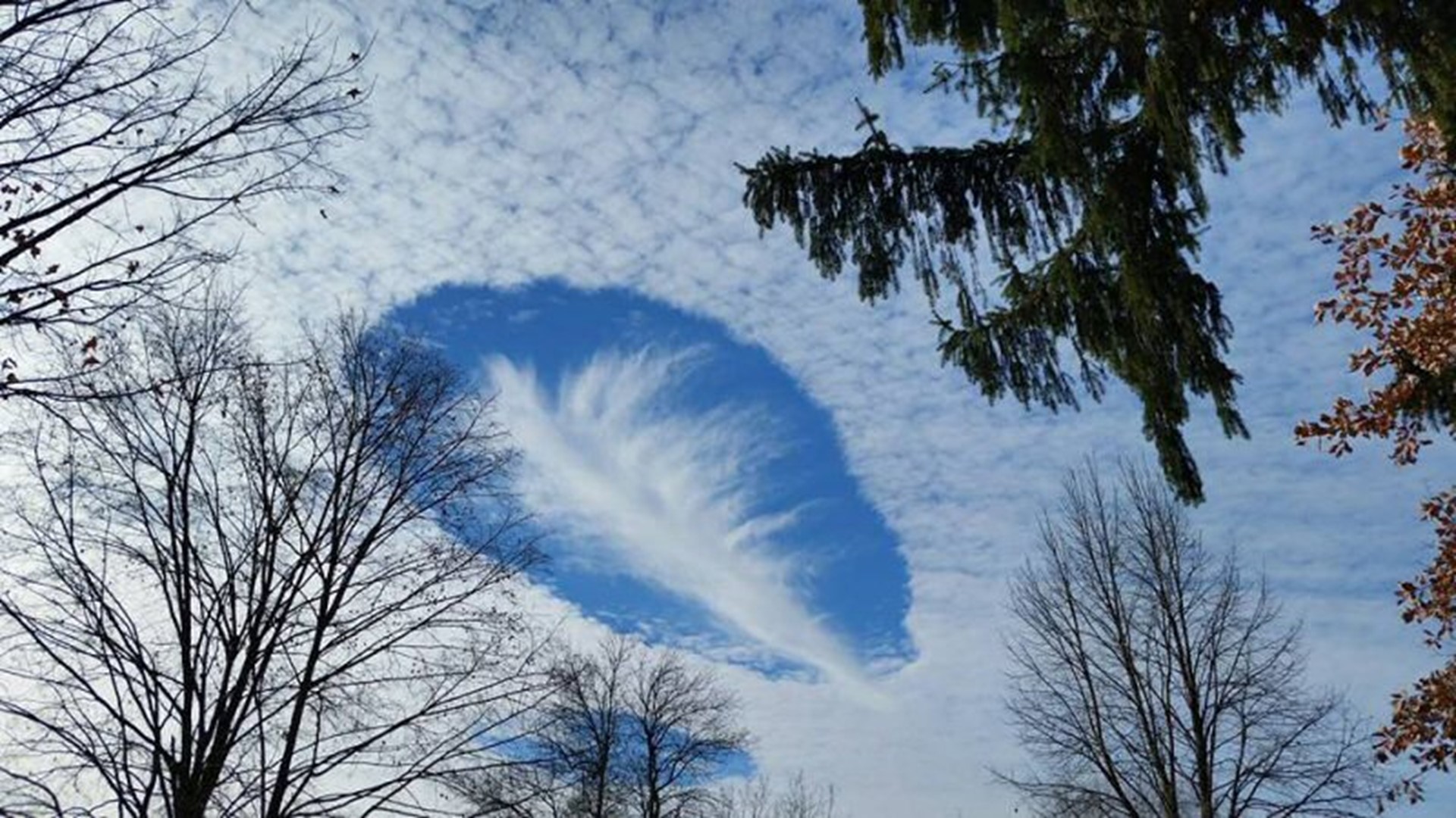 Holes in the sky; What's behind hole punch cloud formations | wqad.com